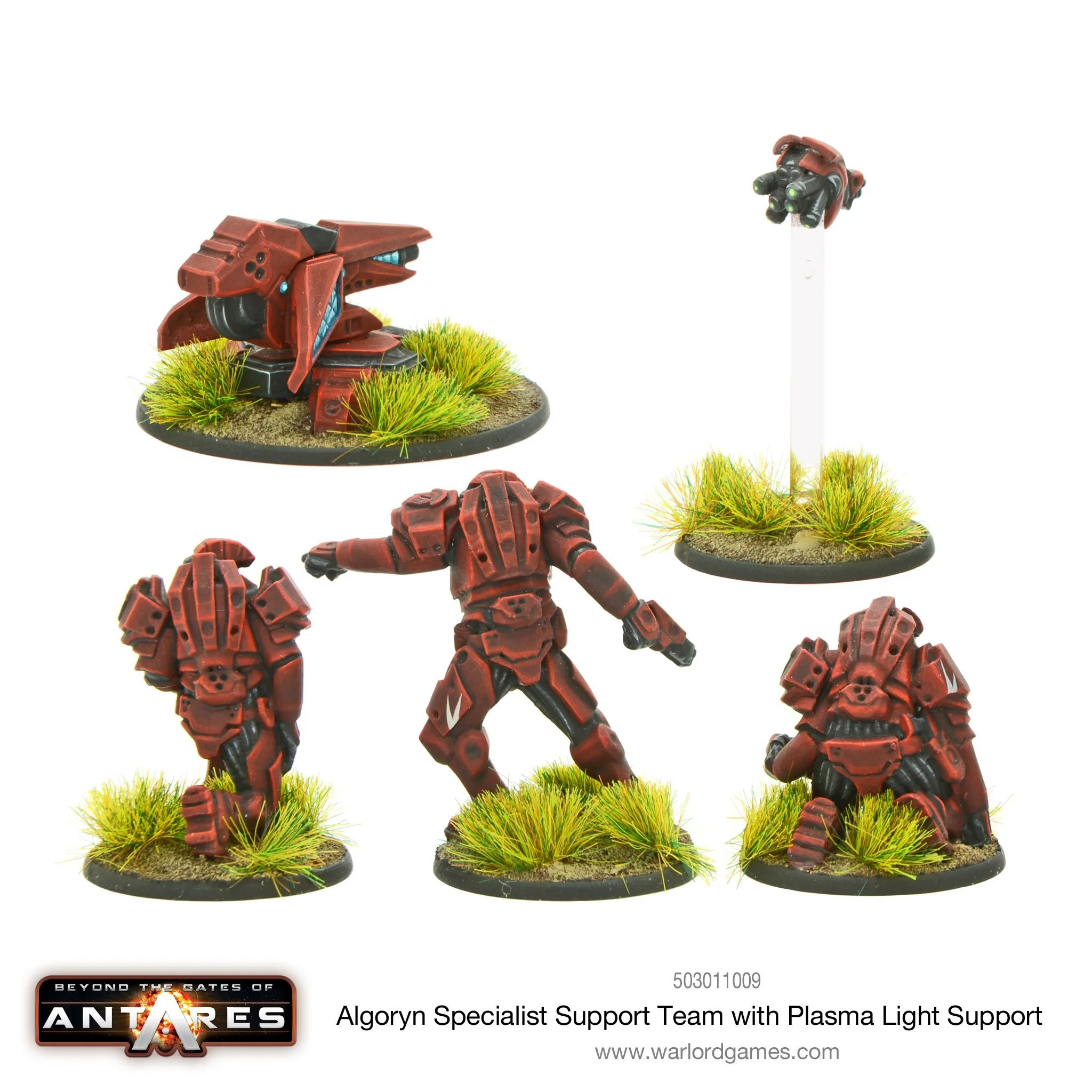 Algoryn specialist support team with plasma light support - Image 3