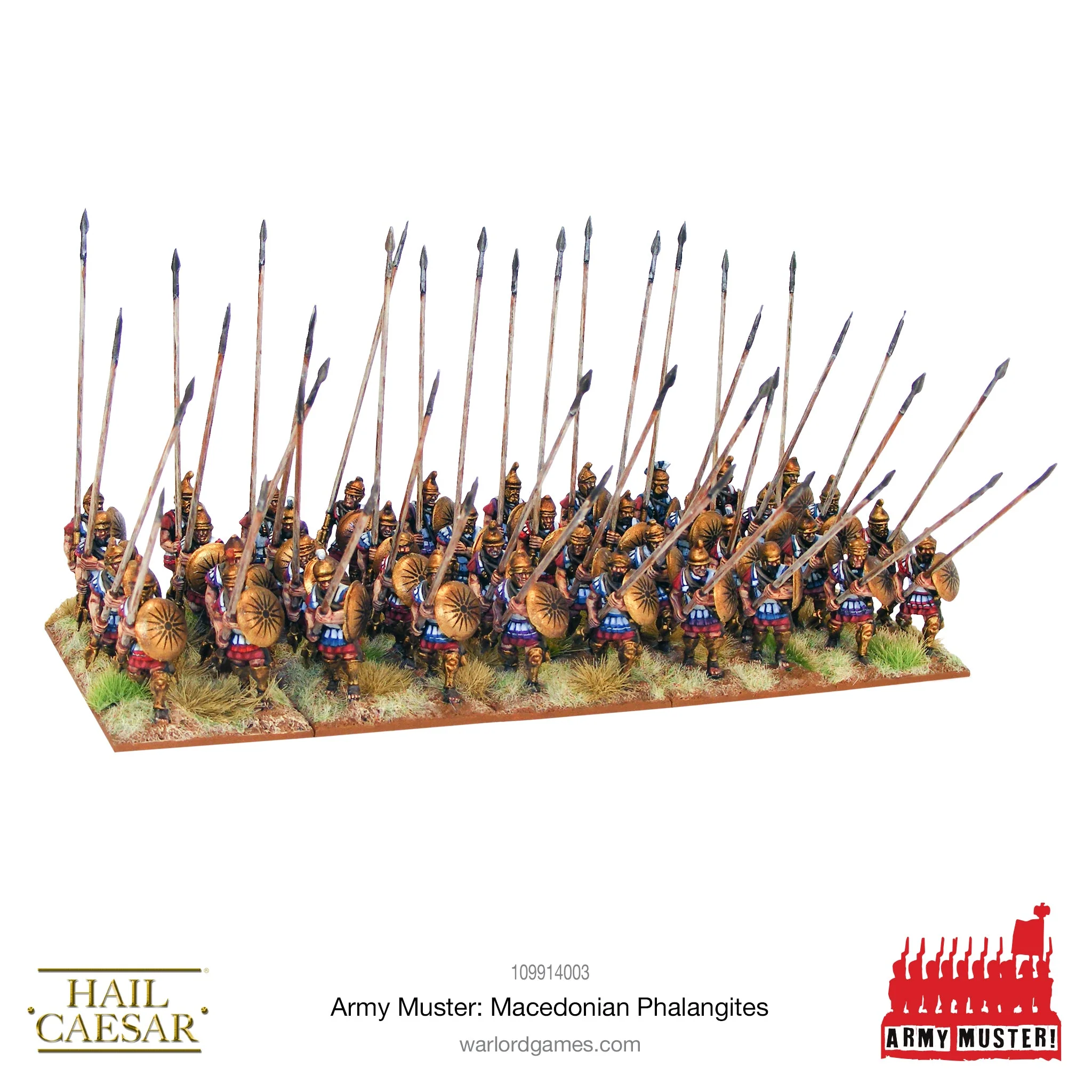 Army Muster: Macedonian Phalangites - Image 4