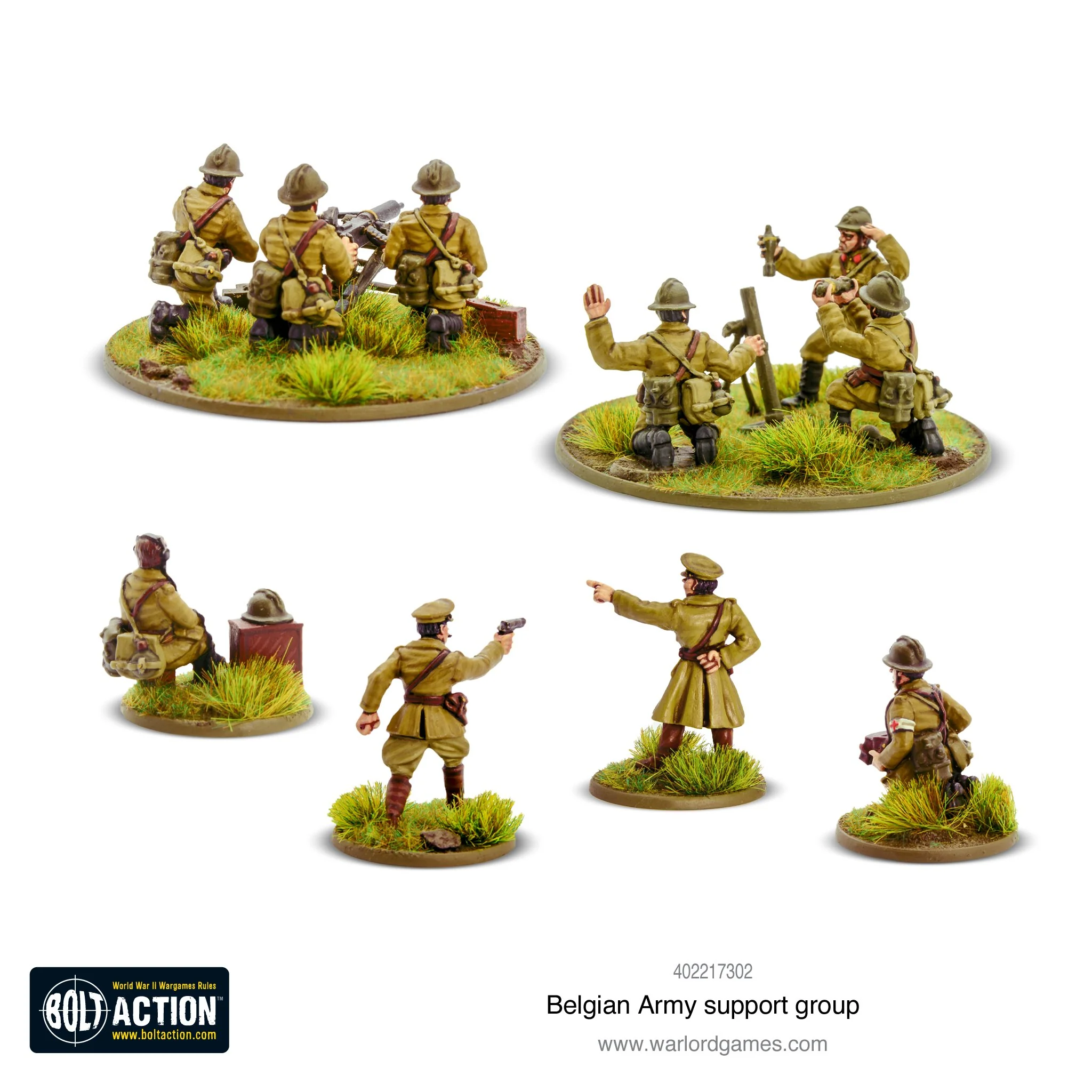 Belgian Army support group - Image 3