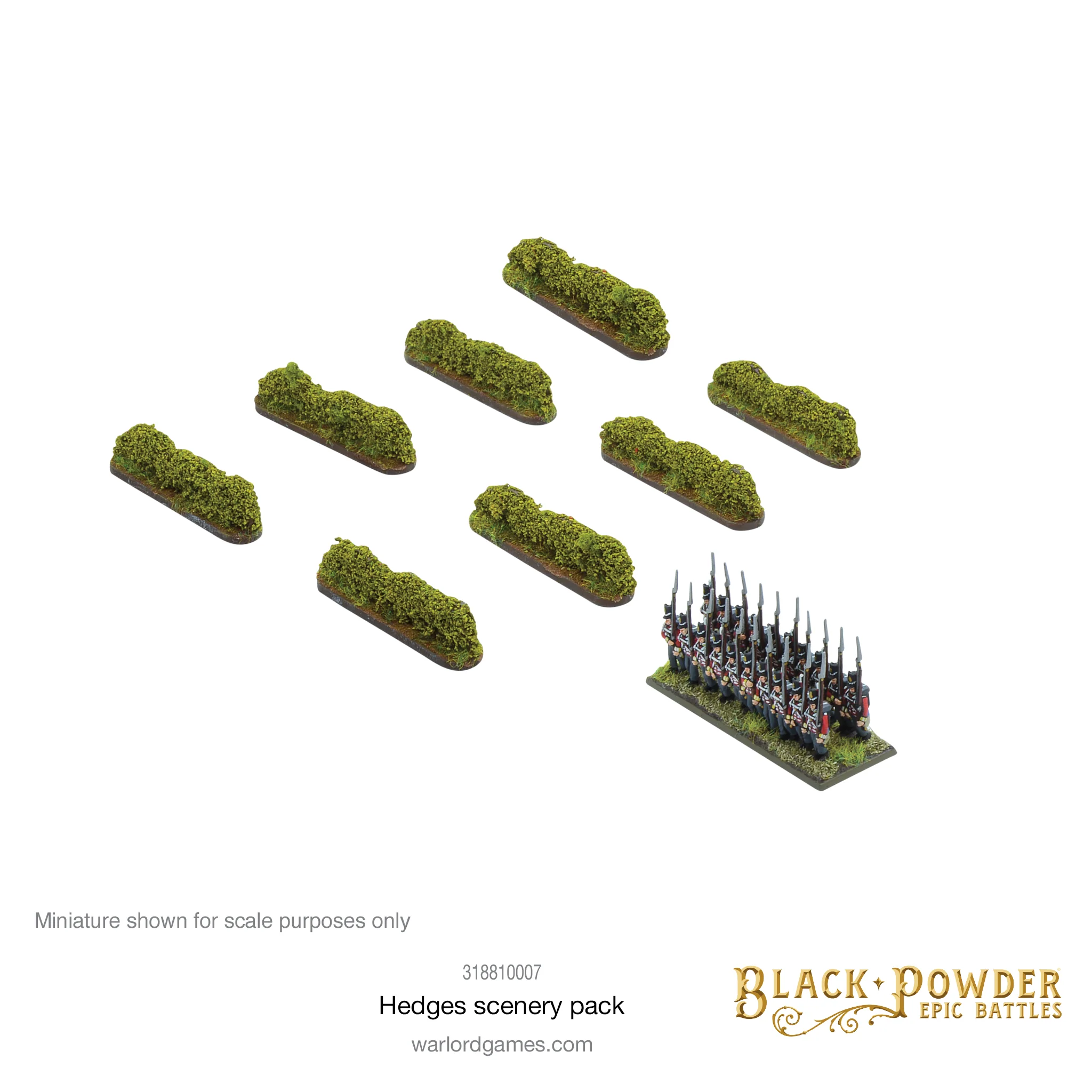 Black Powder Epic Battles: Hedges - Image 3