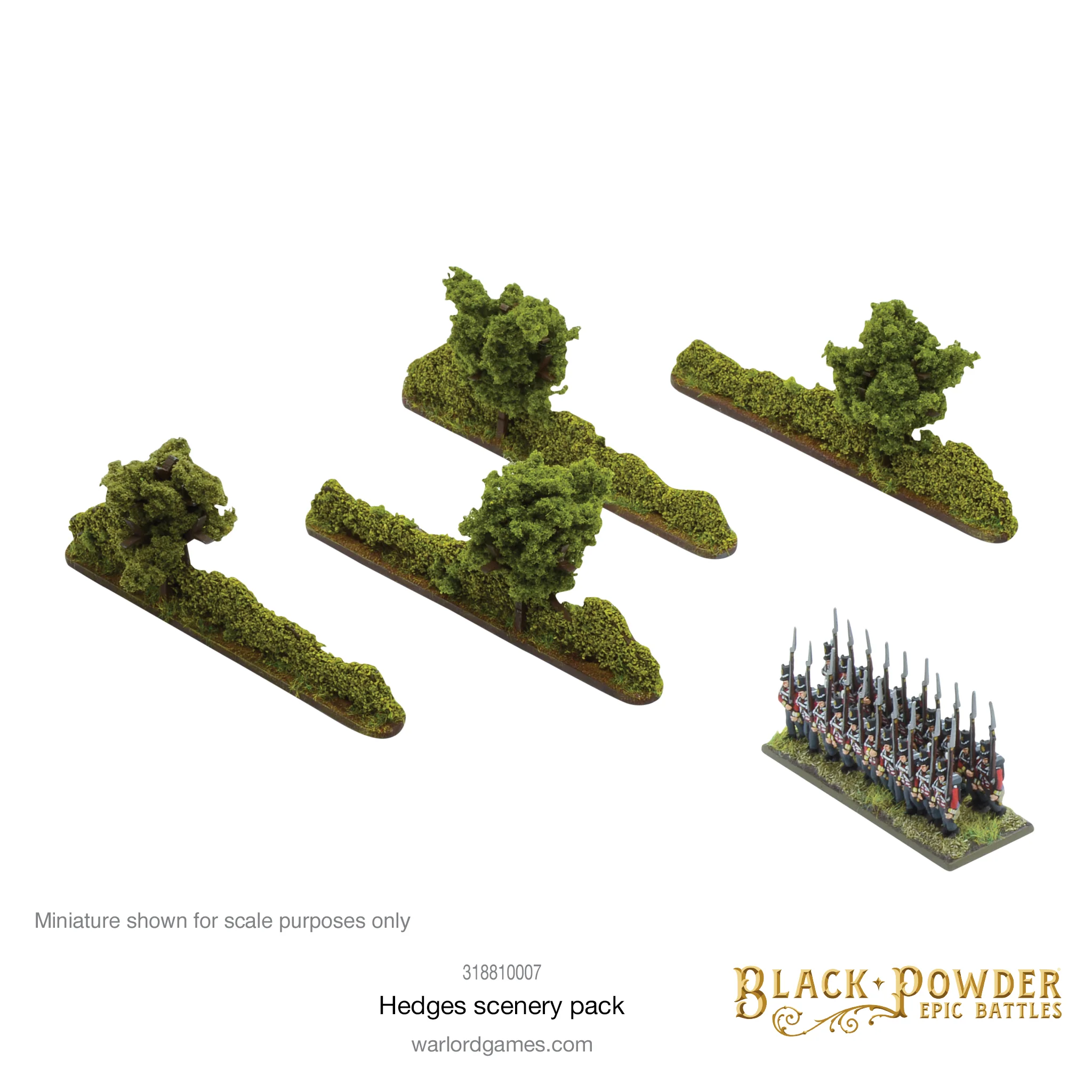 Black Powder Epic Battles: Hedges - Image 4