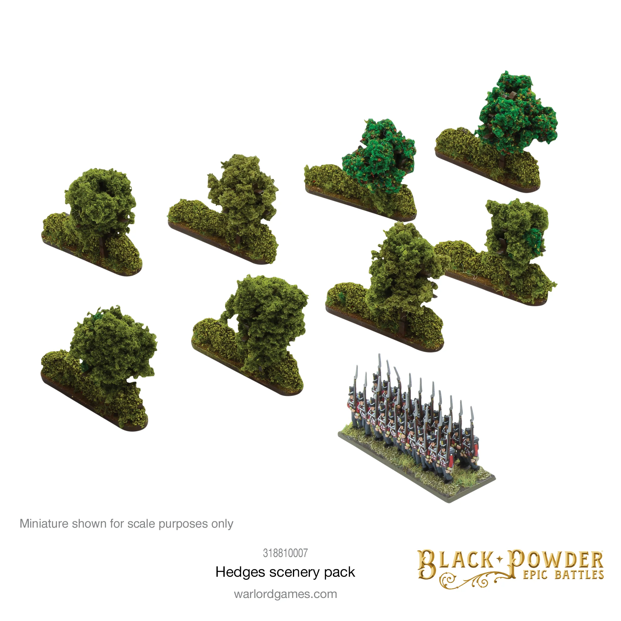 Black Powder Epic Battles: Hedges - Image 5