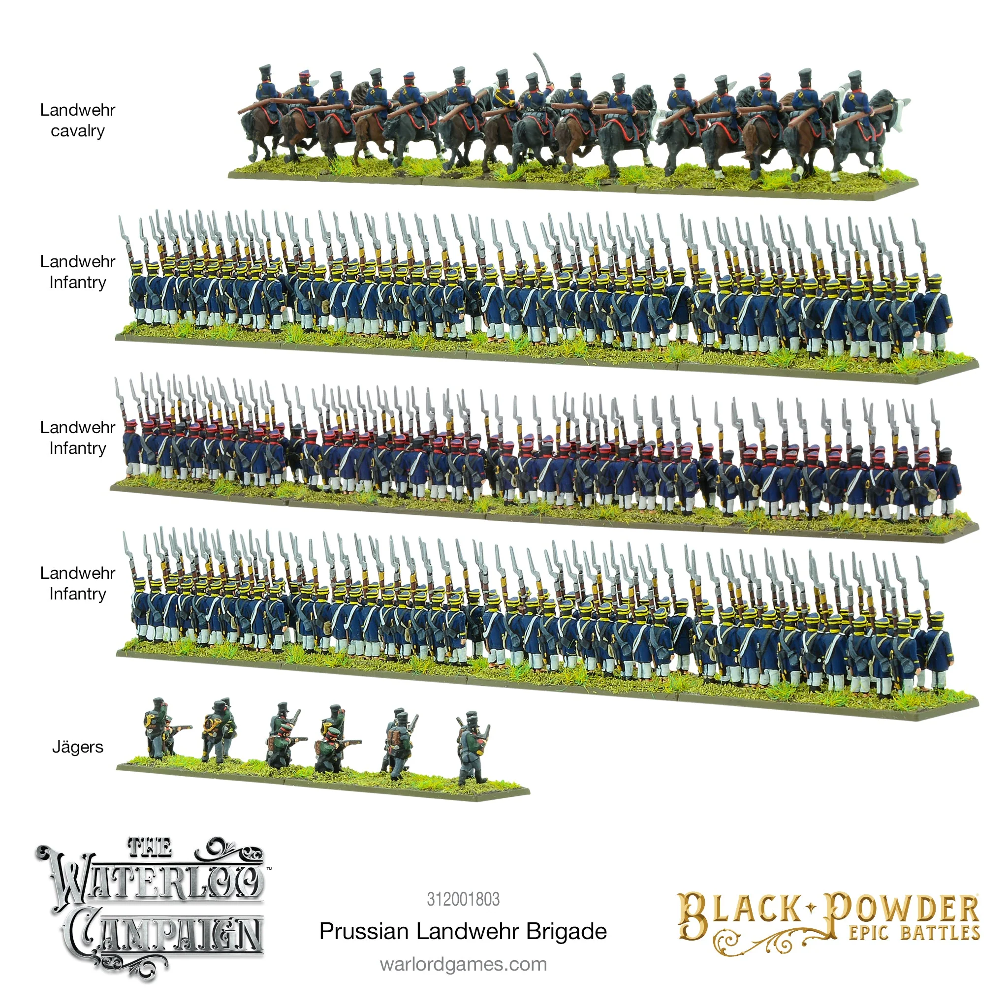 Black Powder Epic Battles - Waterloo: Prussian Landwehr Brigade - Image 3