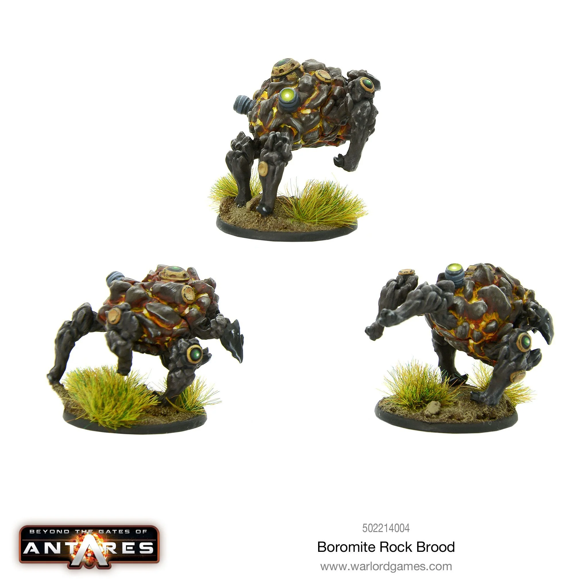 Boromite Rock Brood - Image 3
