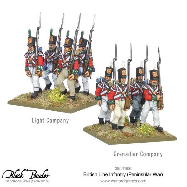 British Line Infantry (Peninsular War) - Image 4
