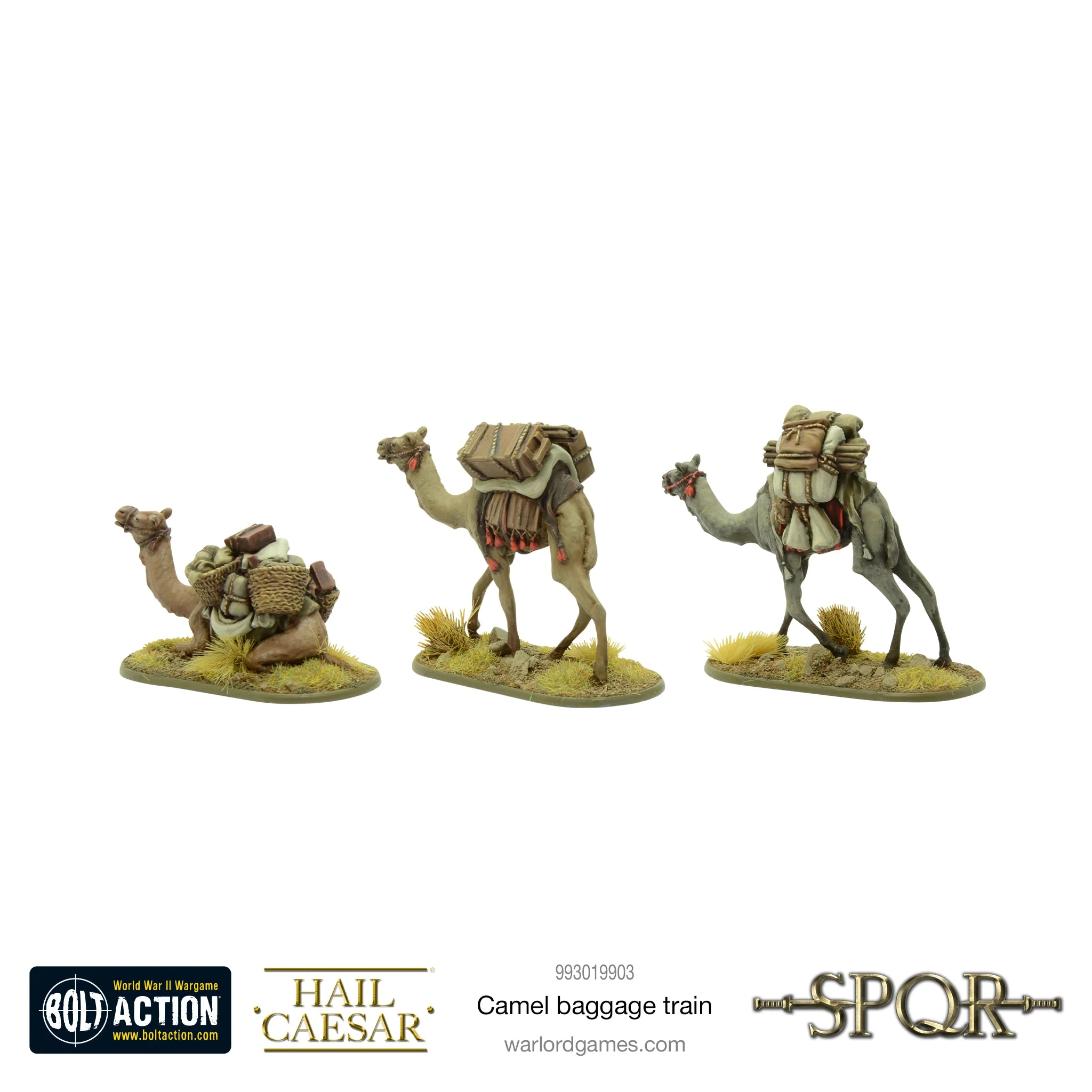 Camel baggage train - Image 2