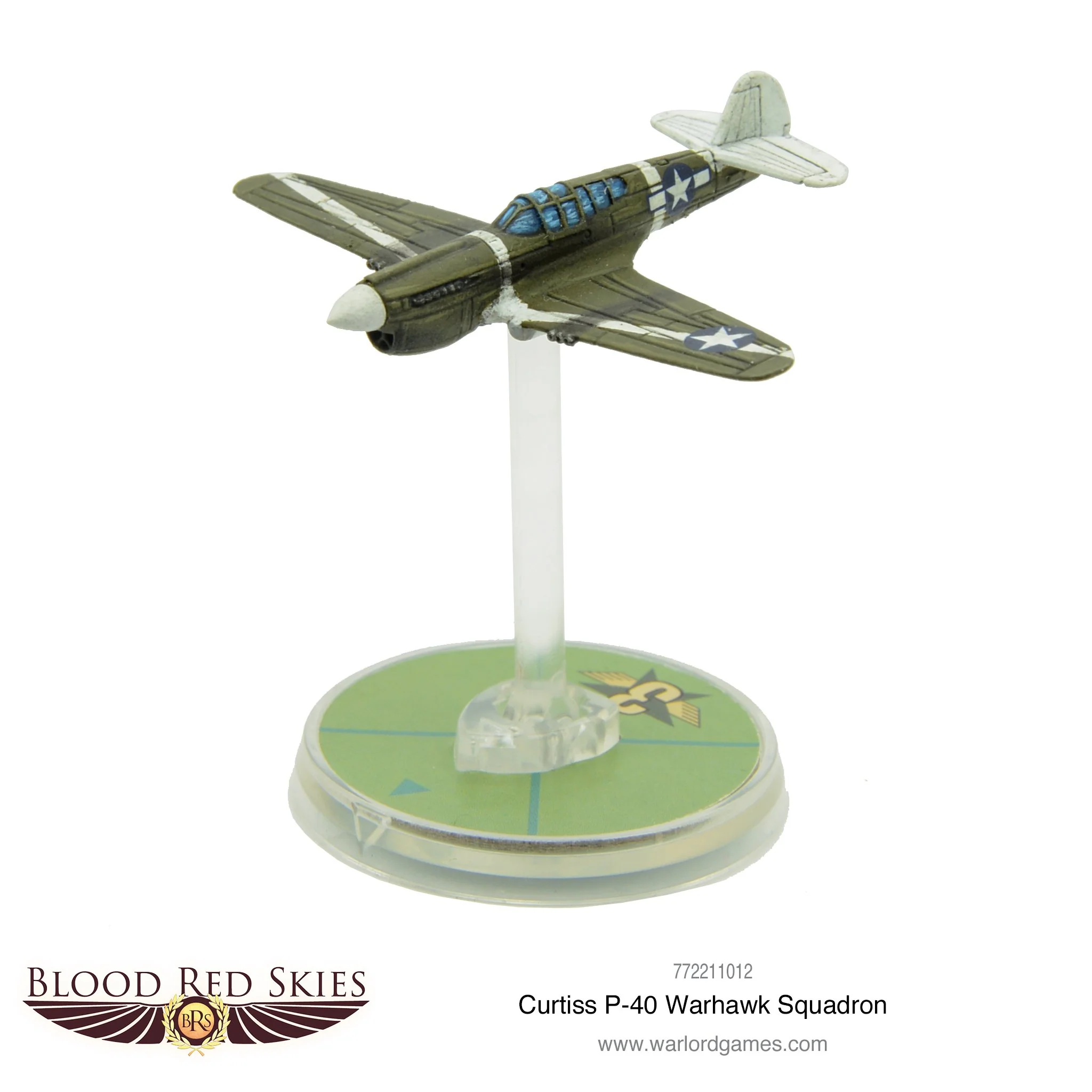 Curtiss P-40 Warhawk squadron - Image 2