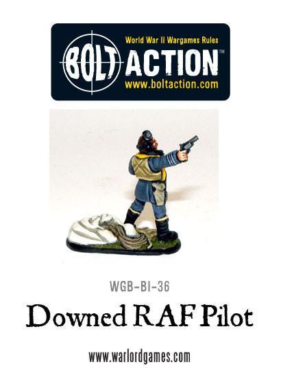 Downed RAF Pilot - Image 2