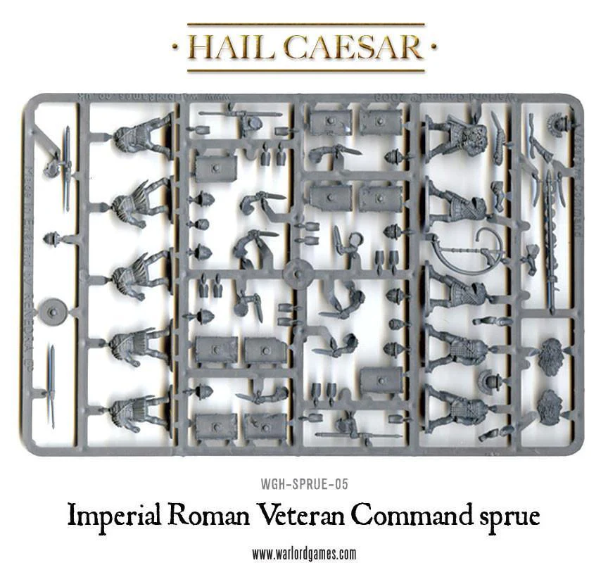 Early Imperial Romans: Veterans - Image 4