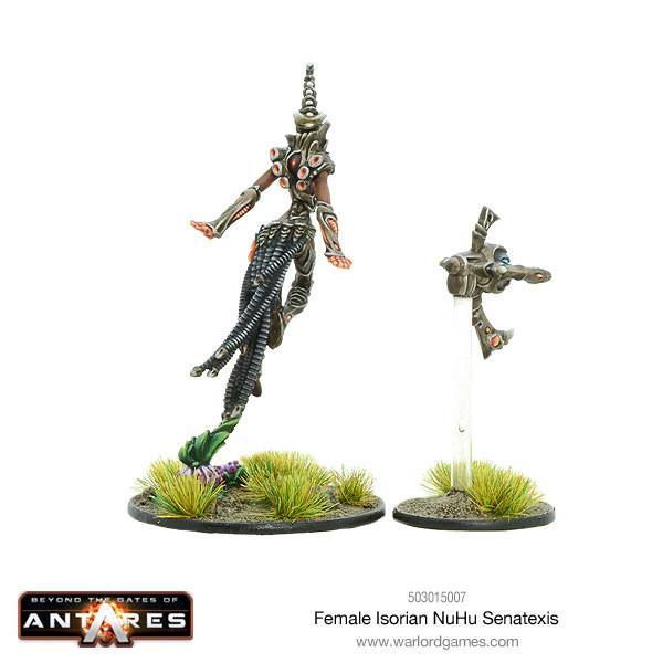 Female Isorian NuHu Senatexis - Image 2
