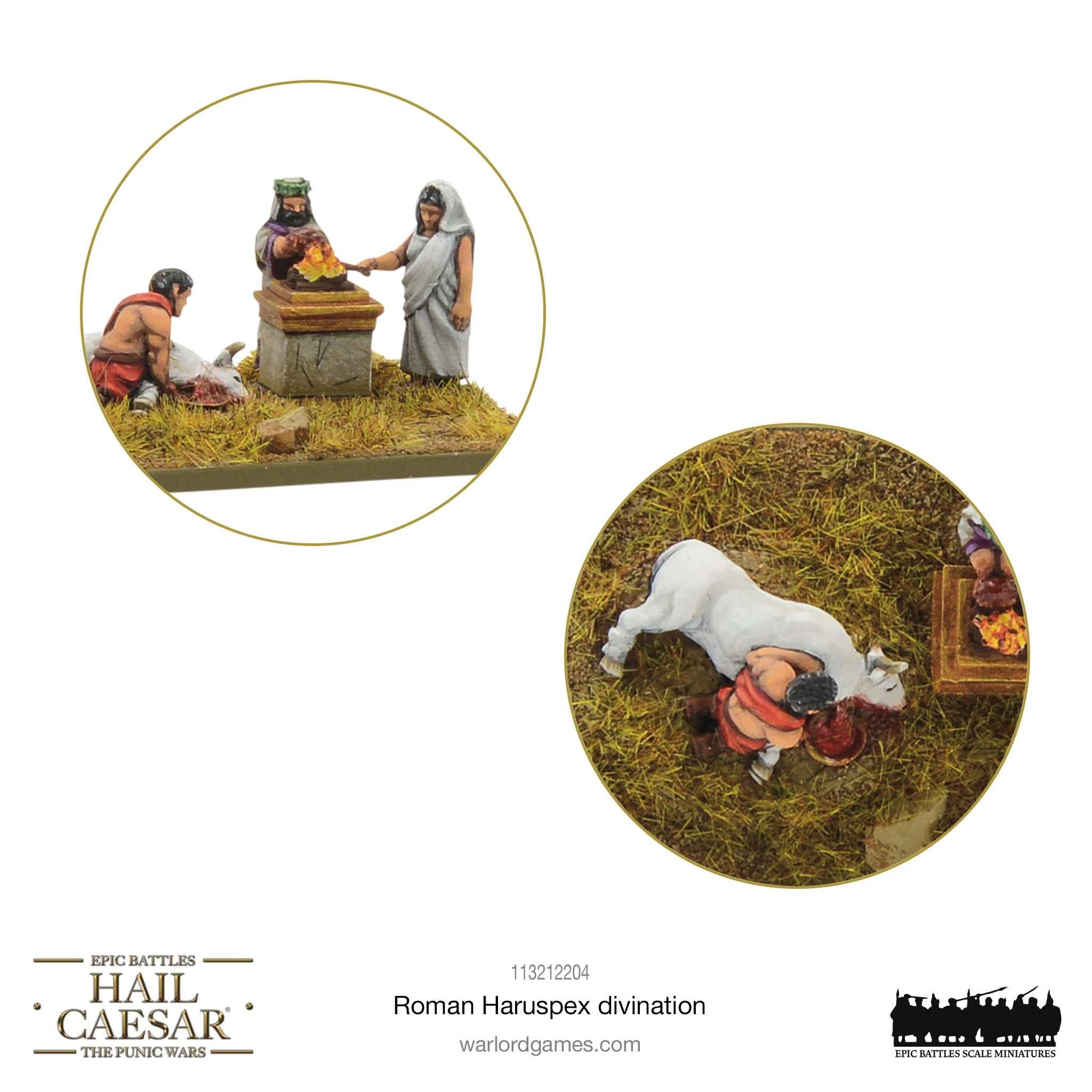 Hail Caesar Epic Battles: Roman Haruspex Divination - Image 4