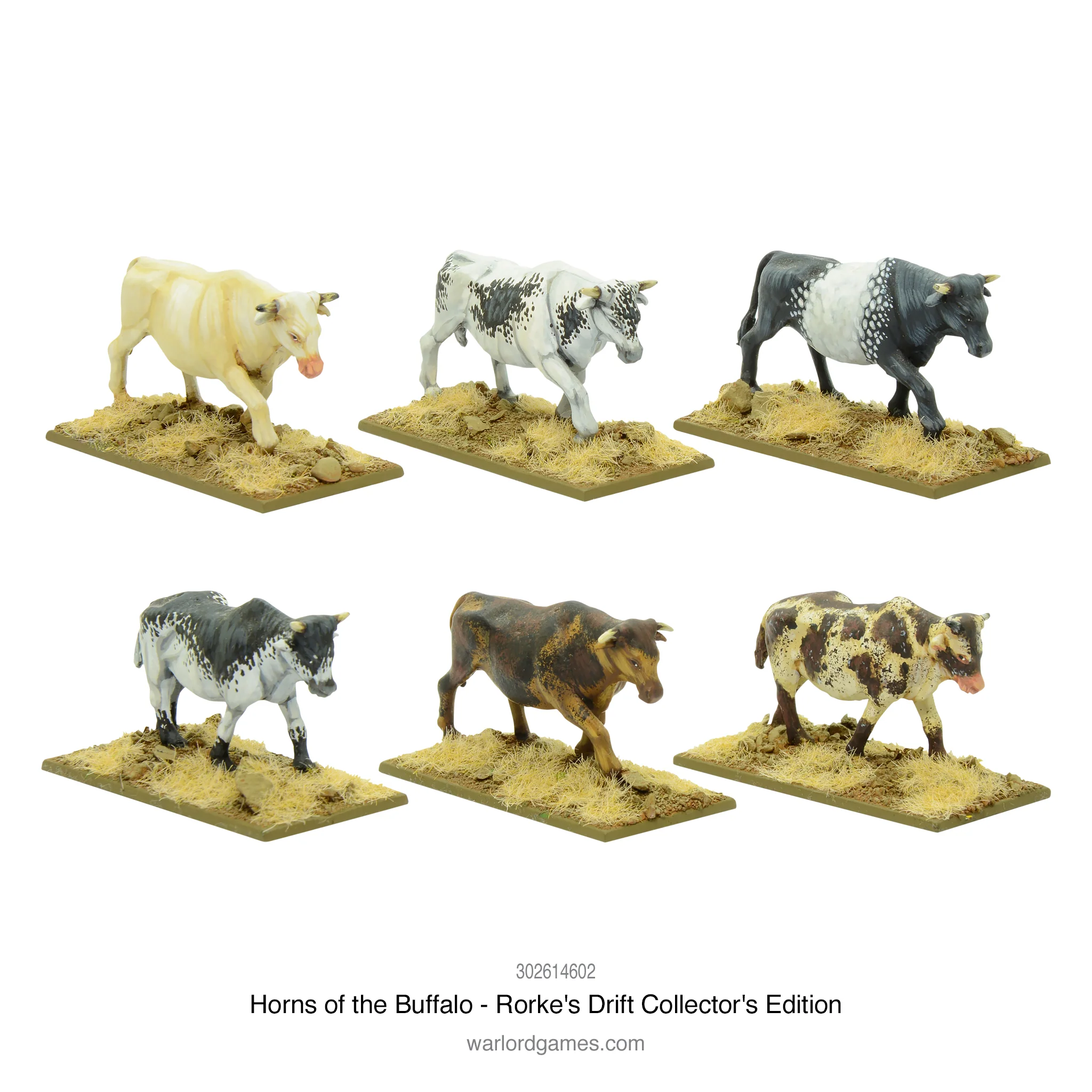 Horns of the Buffalo - Rorke's Drift collectors edition - Image 18