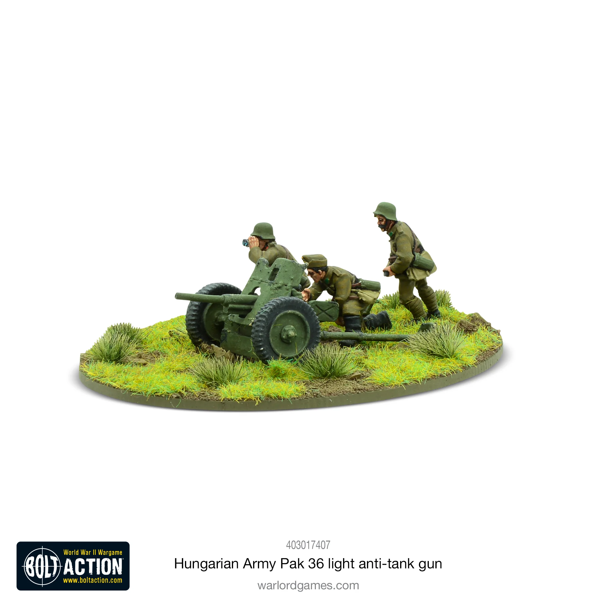 Hungarian Army Pak 36 light anti-tank gun - Image 2