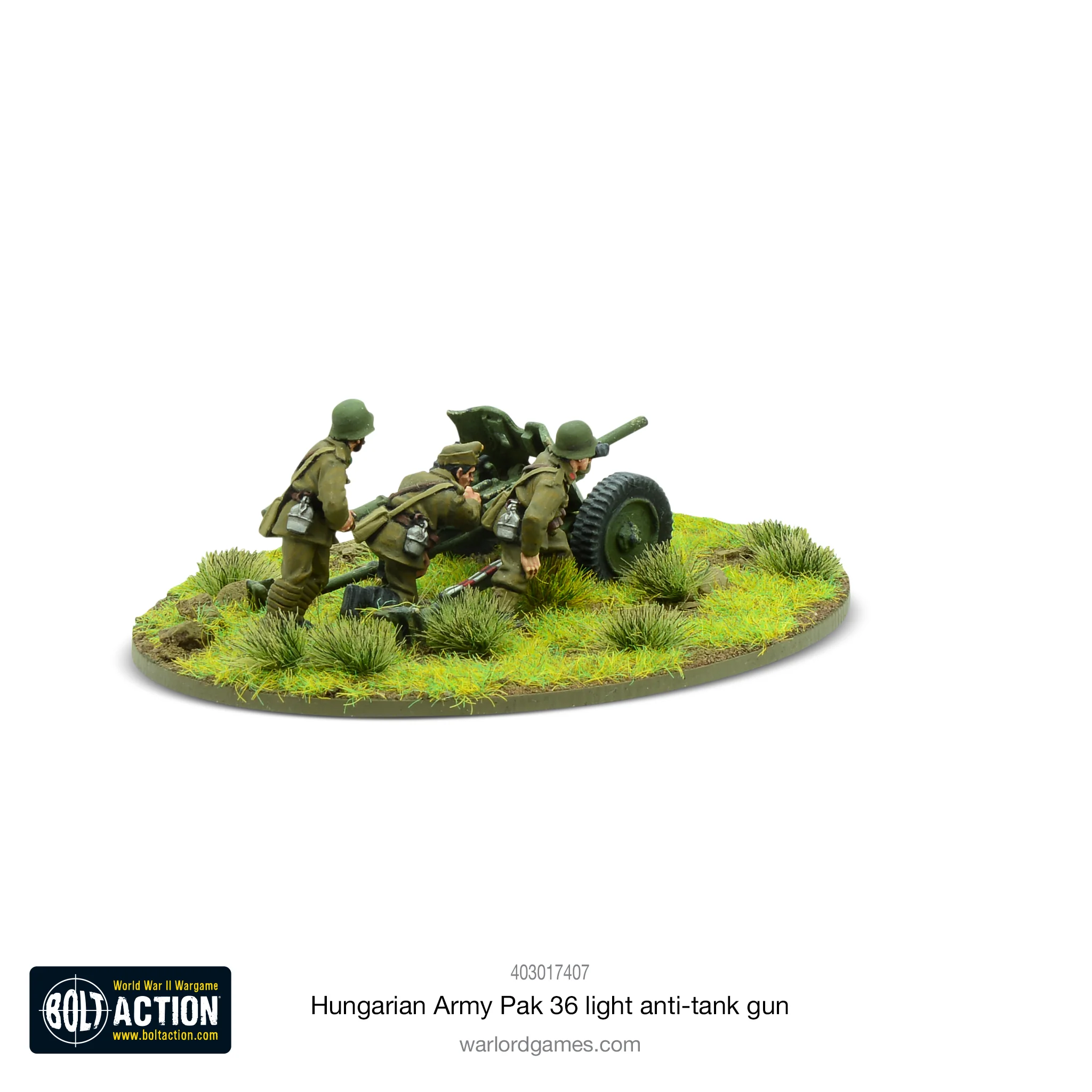 Hungarian Army Pak 36 light anti-tank gun - Image 3