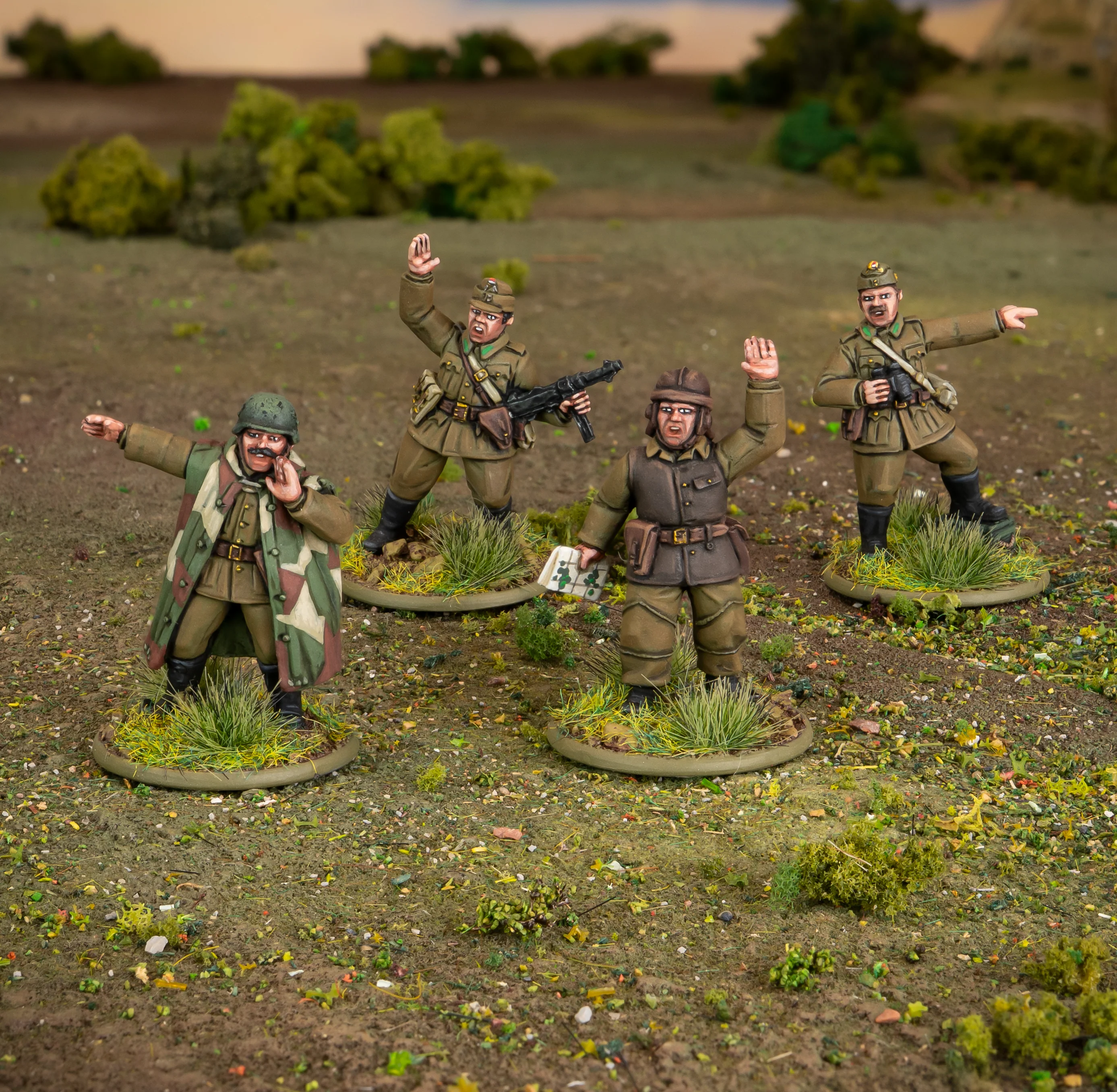 Hungarian Army platoon commanders - Image 3