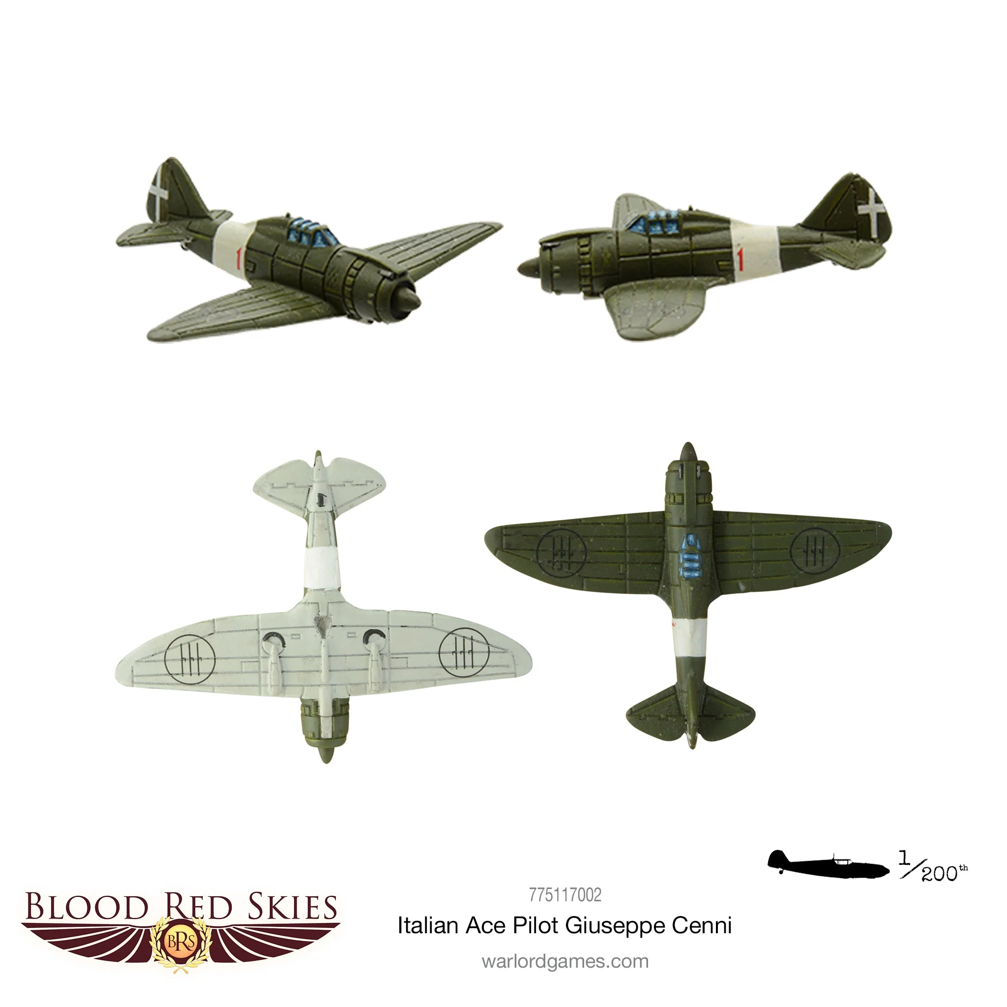 Italian Ace Pilot: Giuseppe Cenni - Image 2