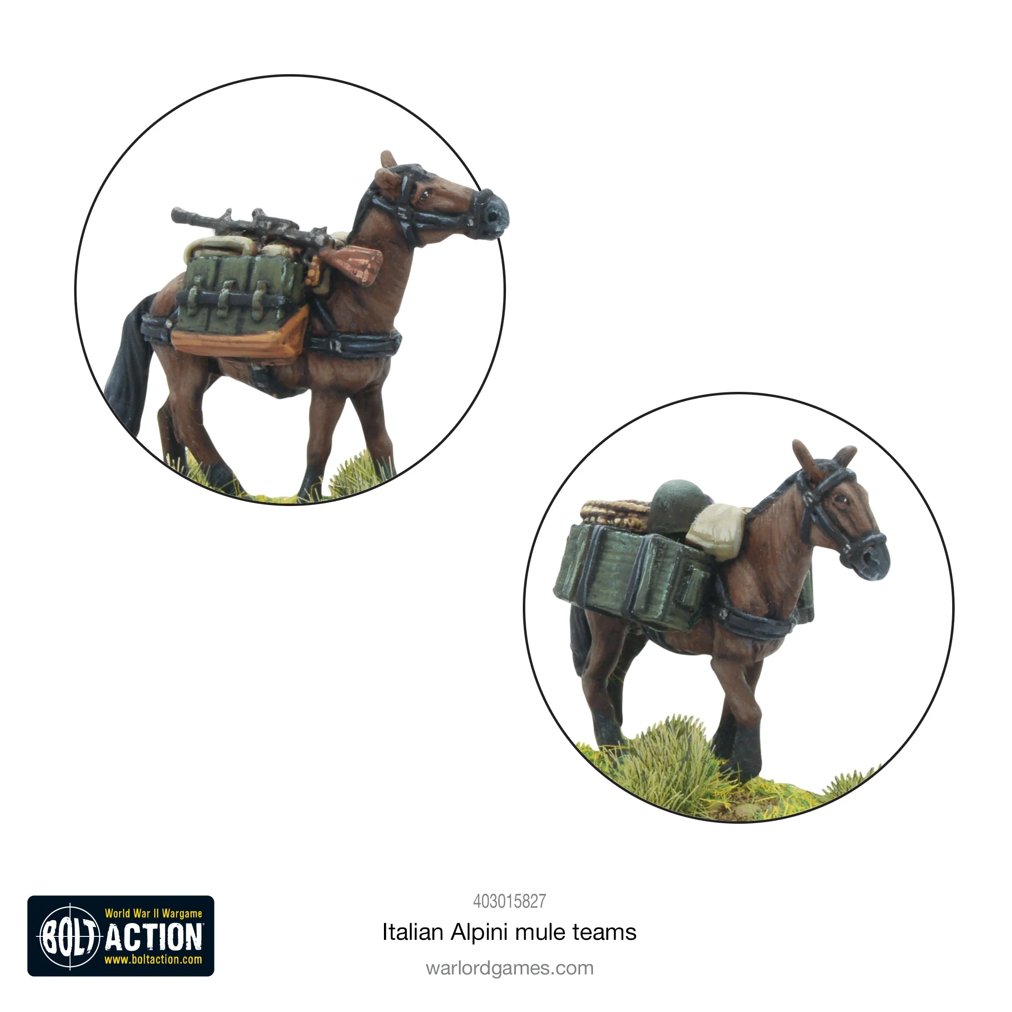 Italian Alpini Mule Teams - Image 3