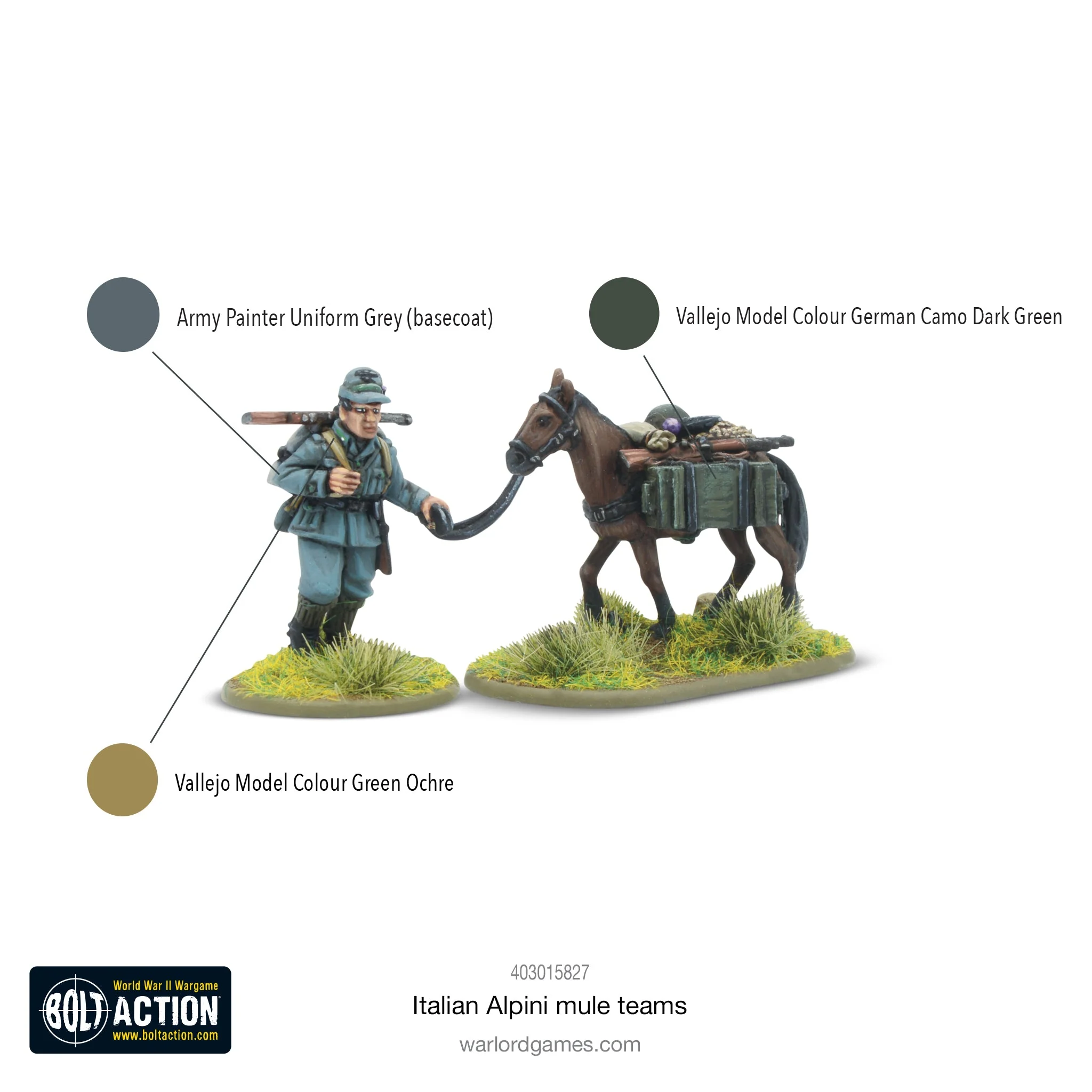 Italian Alpini Mule Teams - Image 4