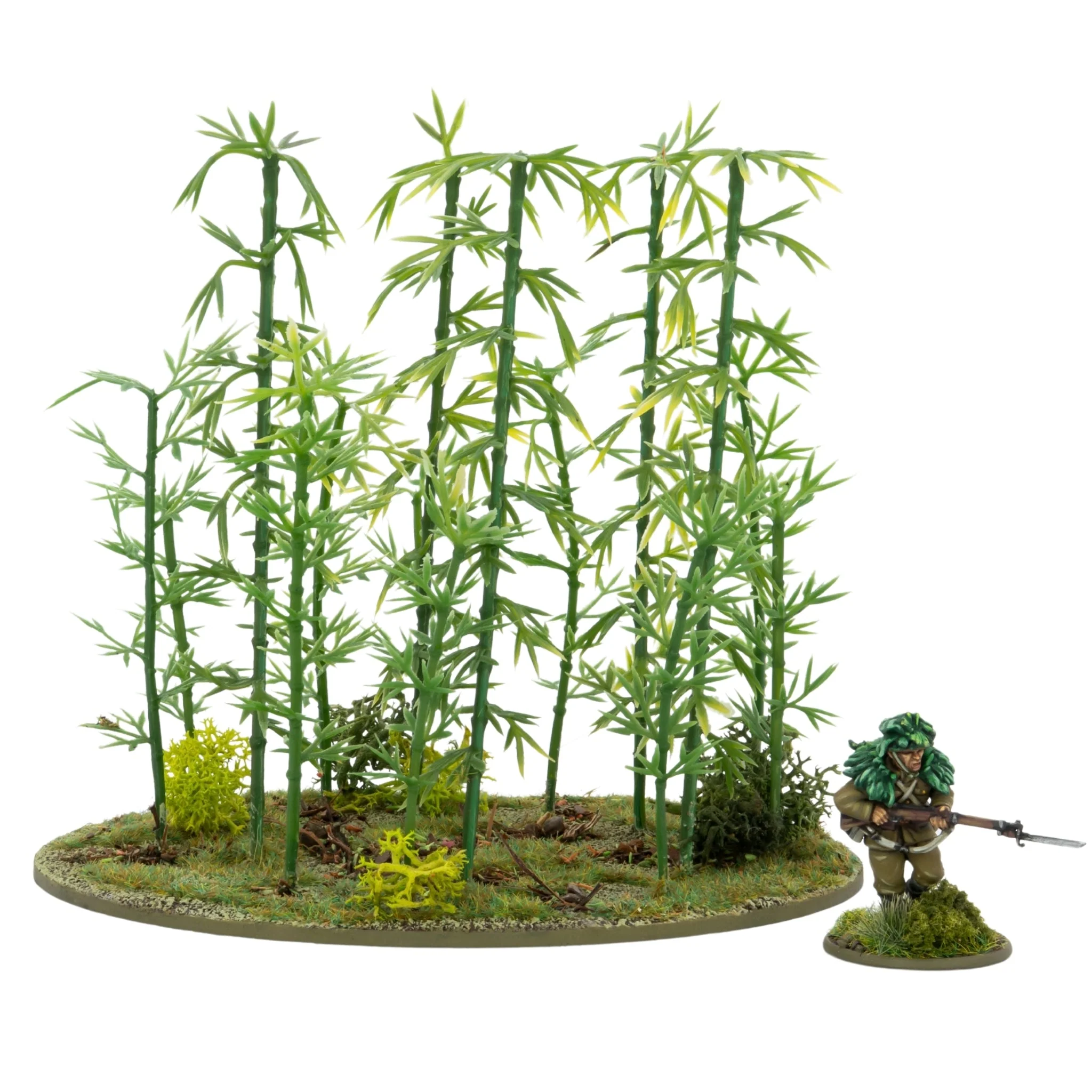 Japanese Bamboo Bushes - Image 2