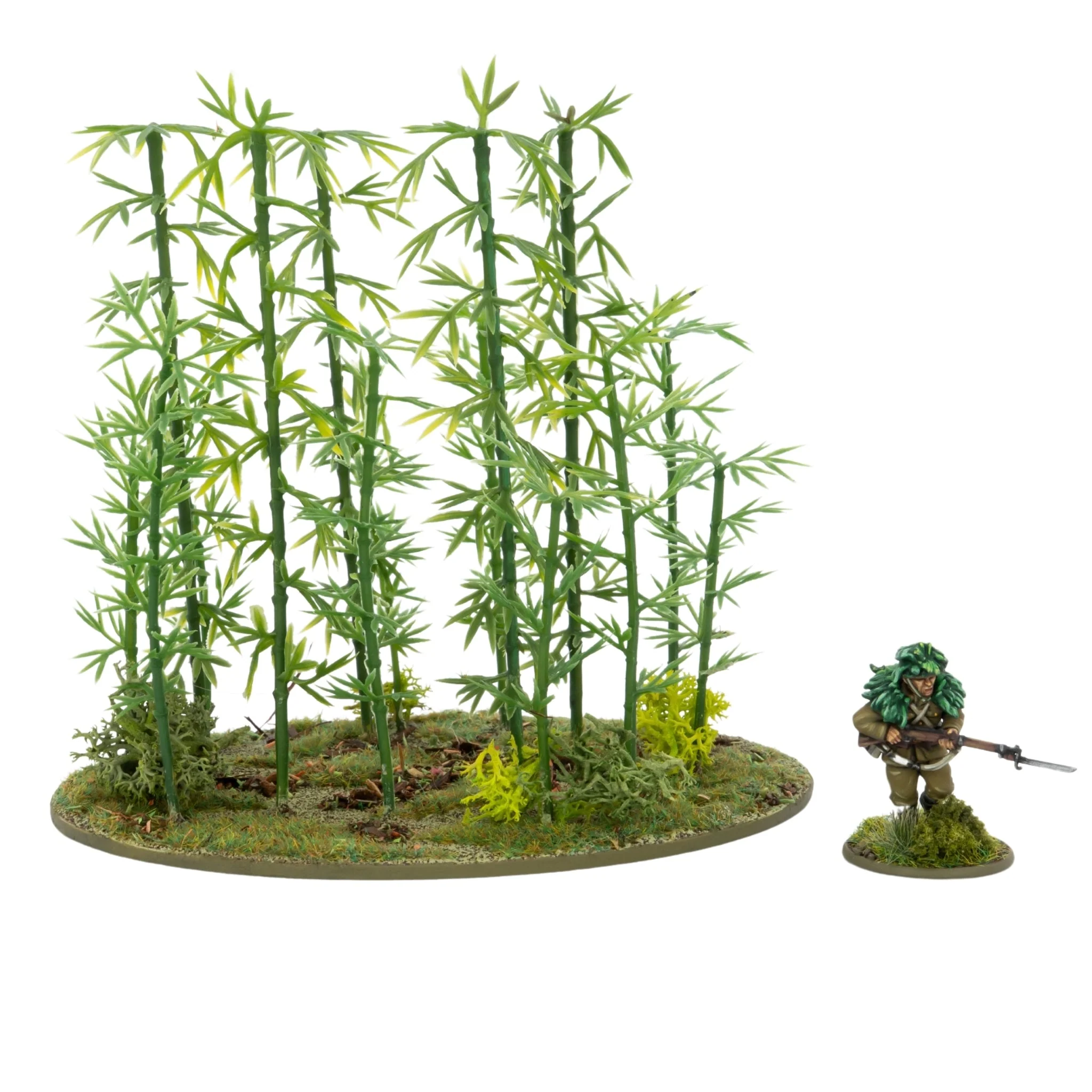 Japanese Bamboo Bushes - Image 3