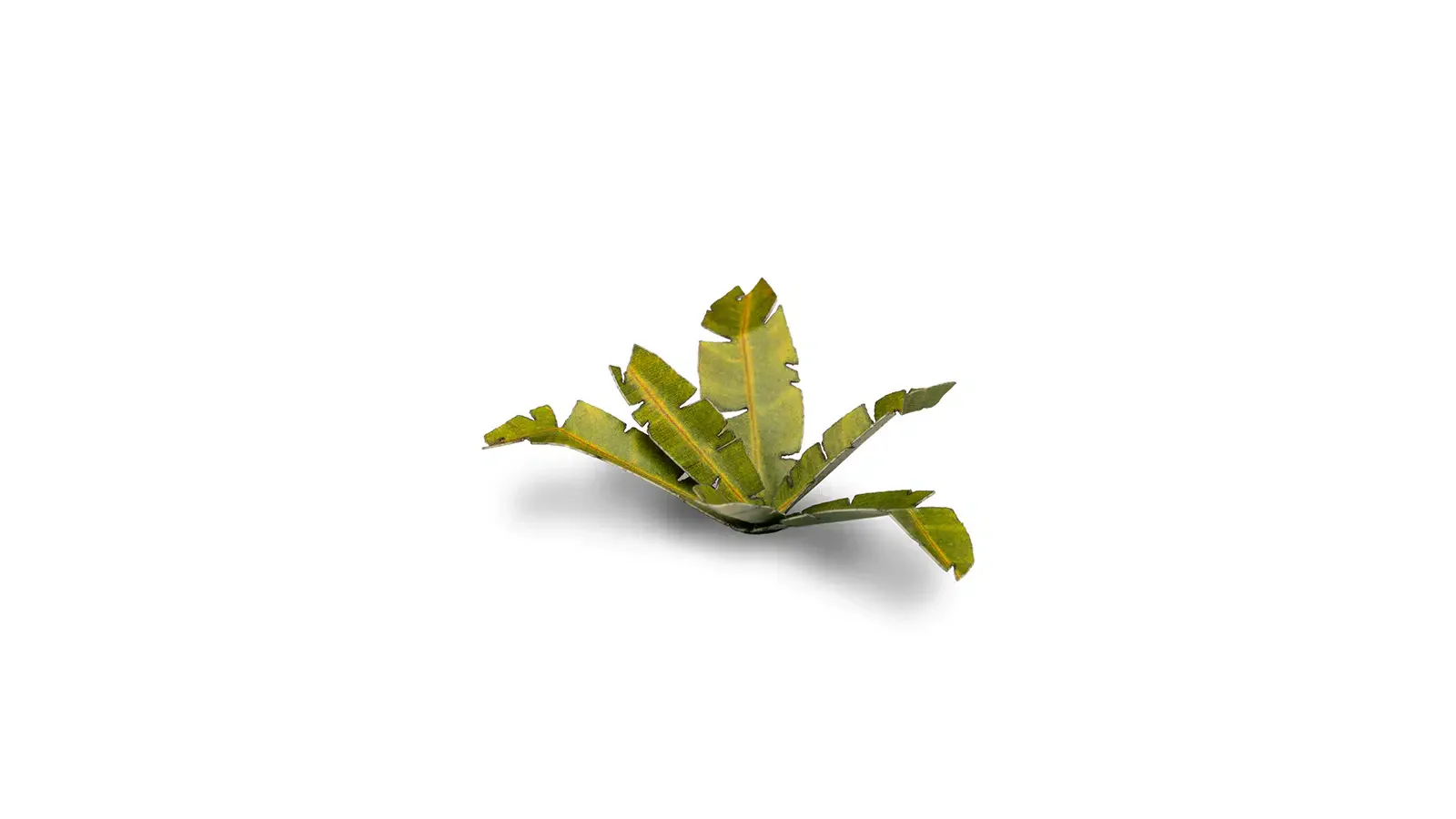 Laser Plants - Banana Tree - Image 2