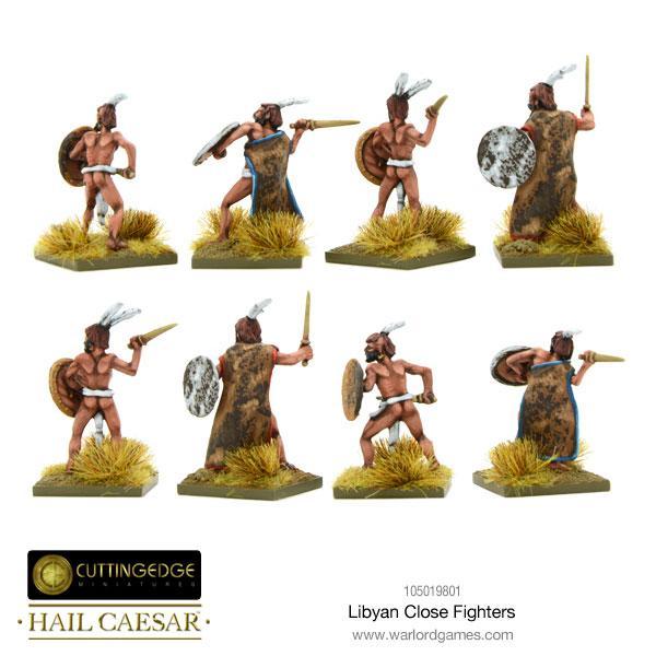 Libyan Close Fighters - Image 2