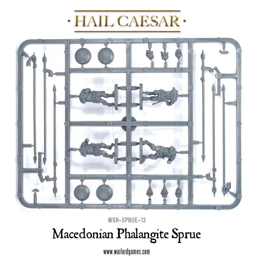 Macedonians: Royal Guard plastic boxed set - Image 4