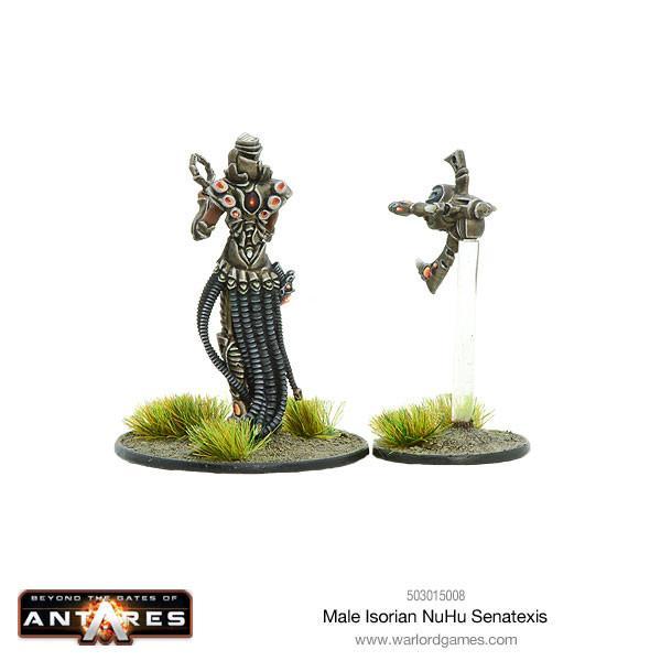 Male Isorian NuHu Senatexis - Image 2
