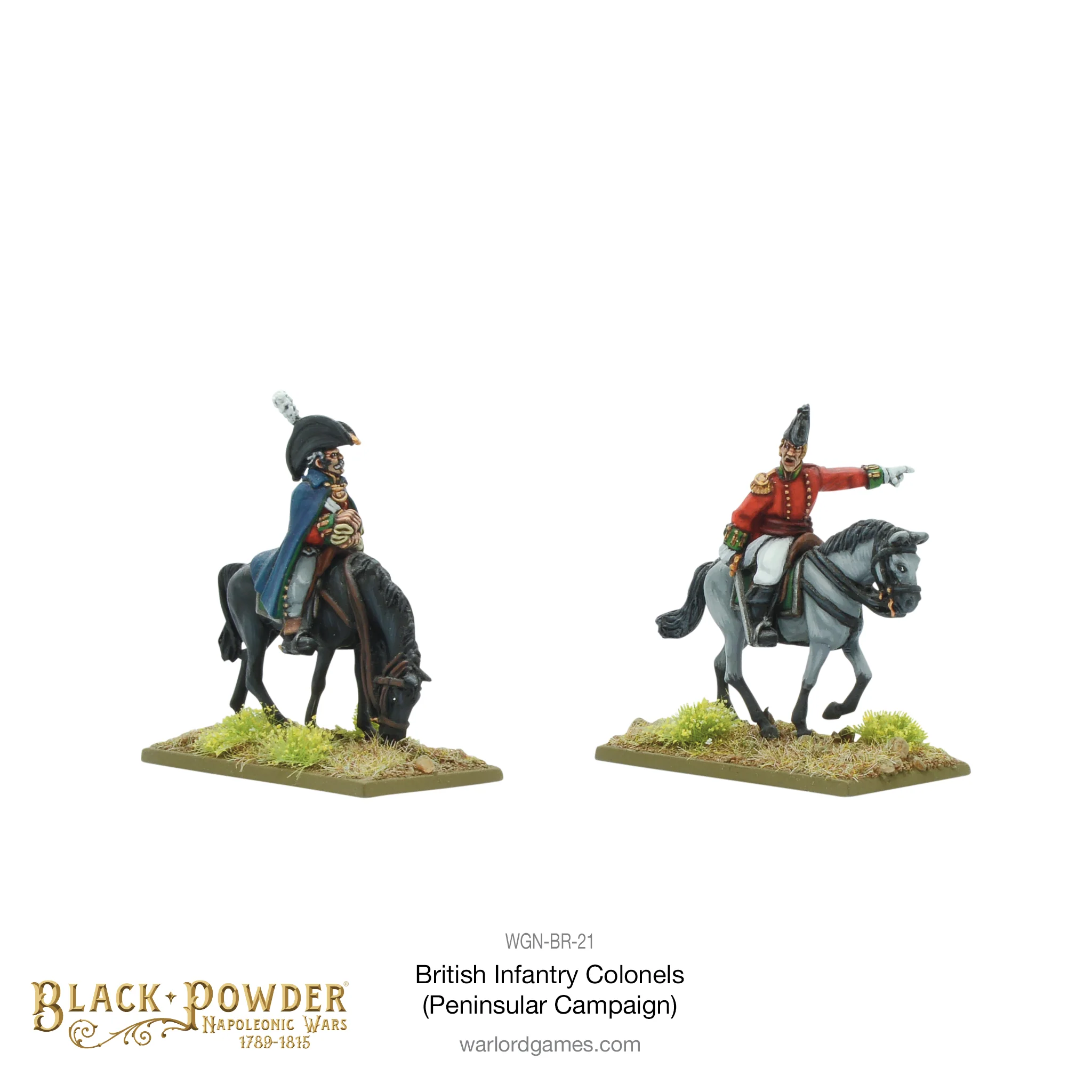 Mounted Napoleonic British Infantry Colonels (Peninsular War) - Image 2