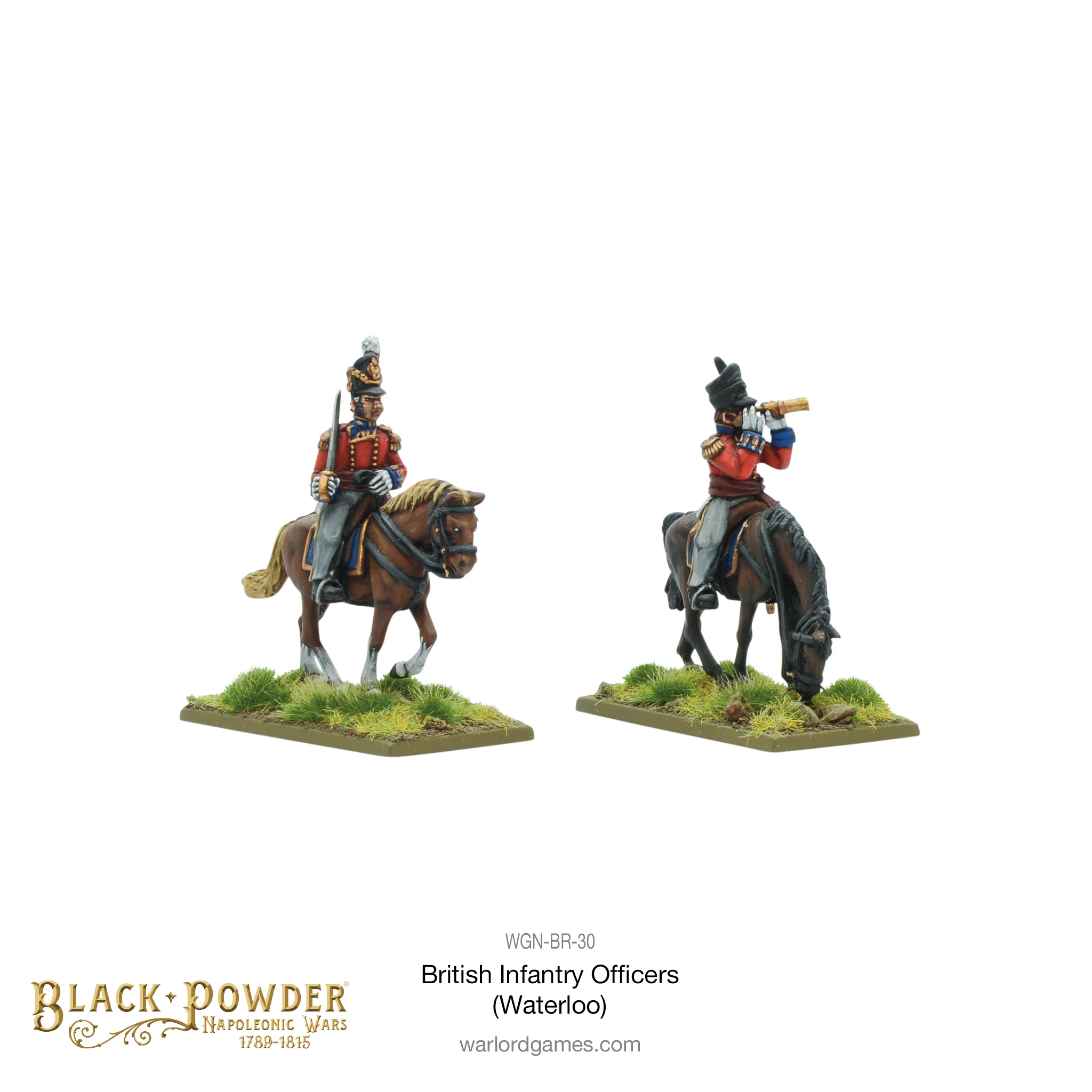 Mounted Napoleonic British Infantry Officers (Waterloo campaign) - Image 2