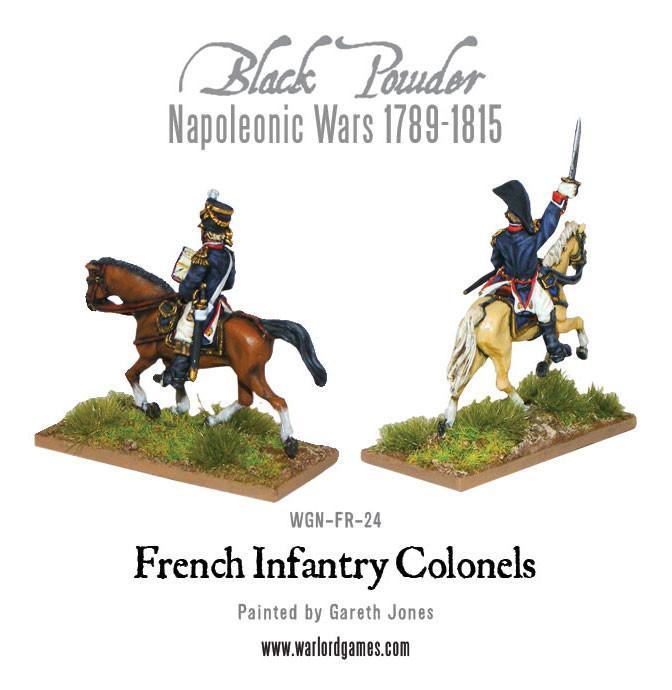Mounted Napoleonic French Infantry Colonels - Image 2