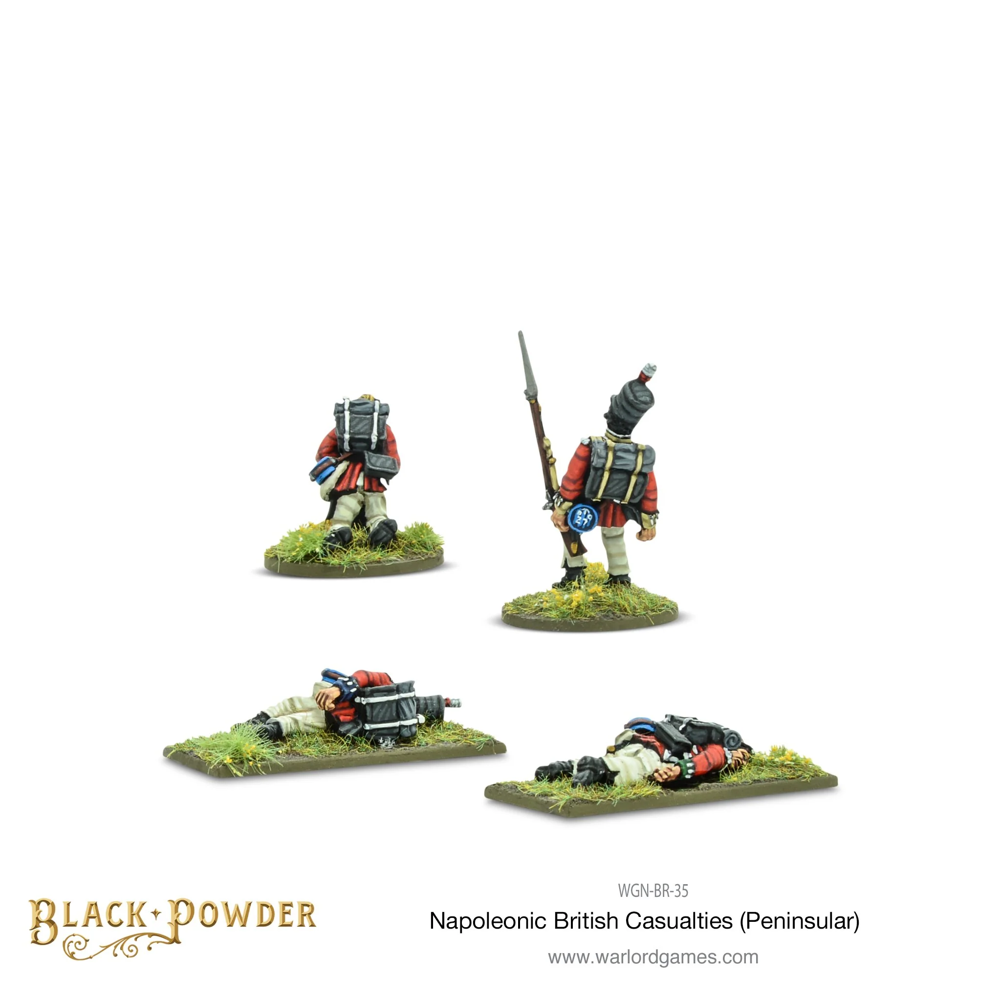 Napoleonic British Casualties (Peninsular) - Image 2