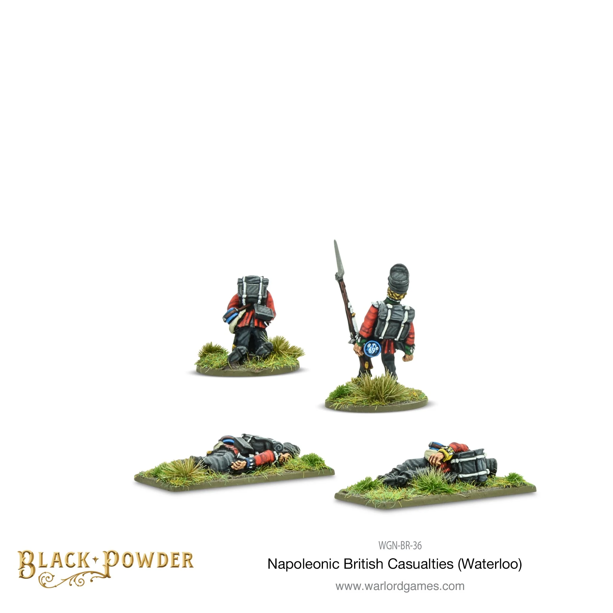 Napoleonic British Casualties (Waterloo) - Image 2