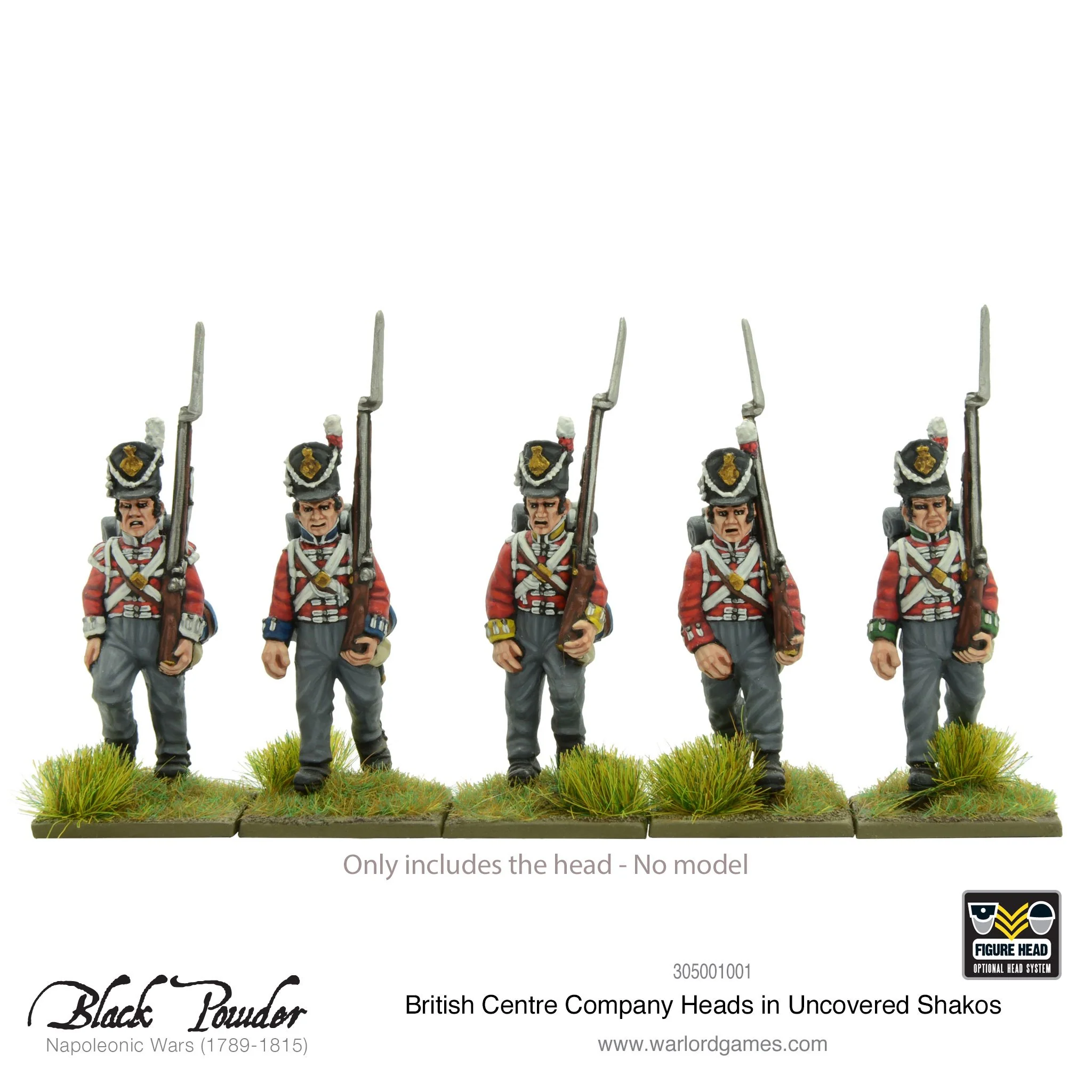 25x Napoleonic British Centre Company heads in uncovered Shakos - Image 2