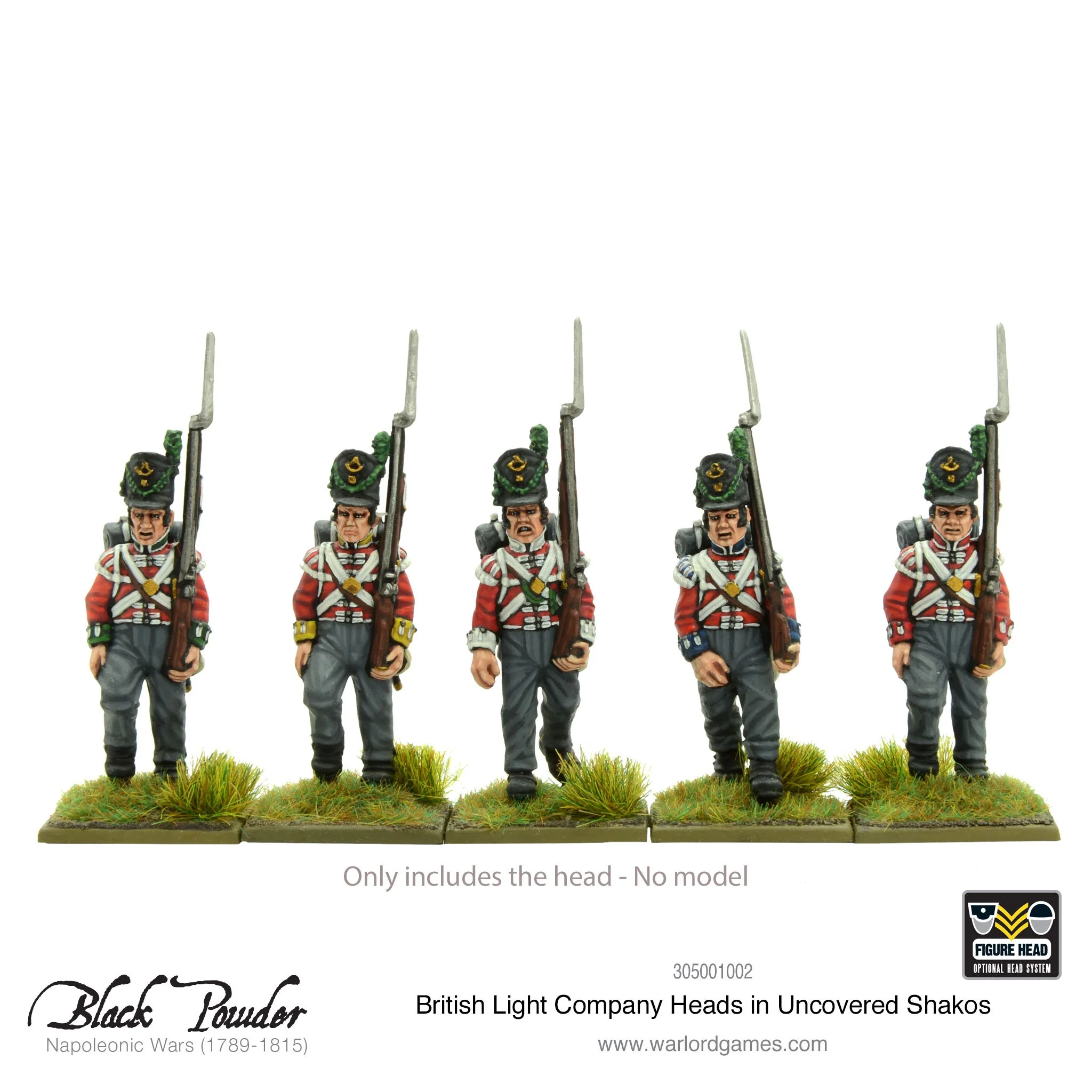 25x Napoleonic British Light Company heads in uncovered Shakos - Image 2