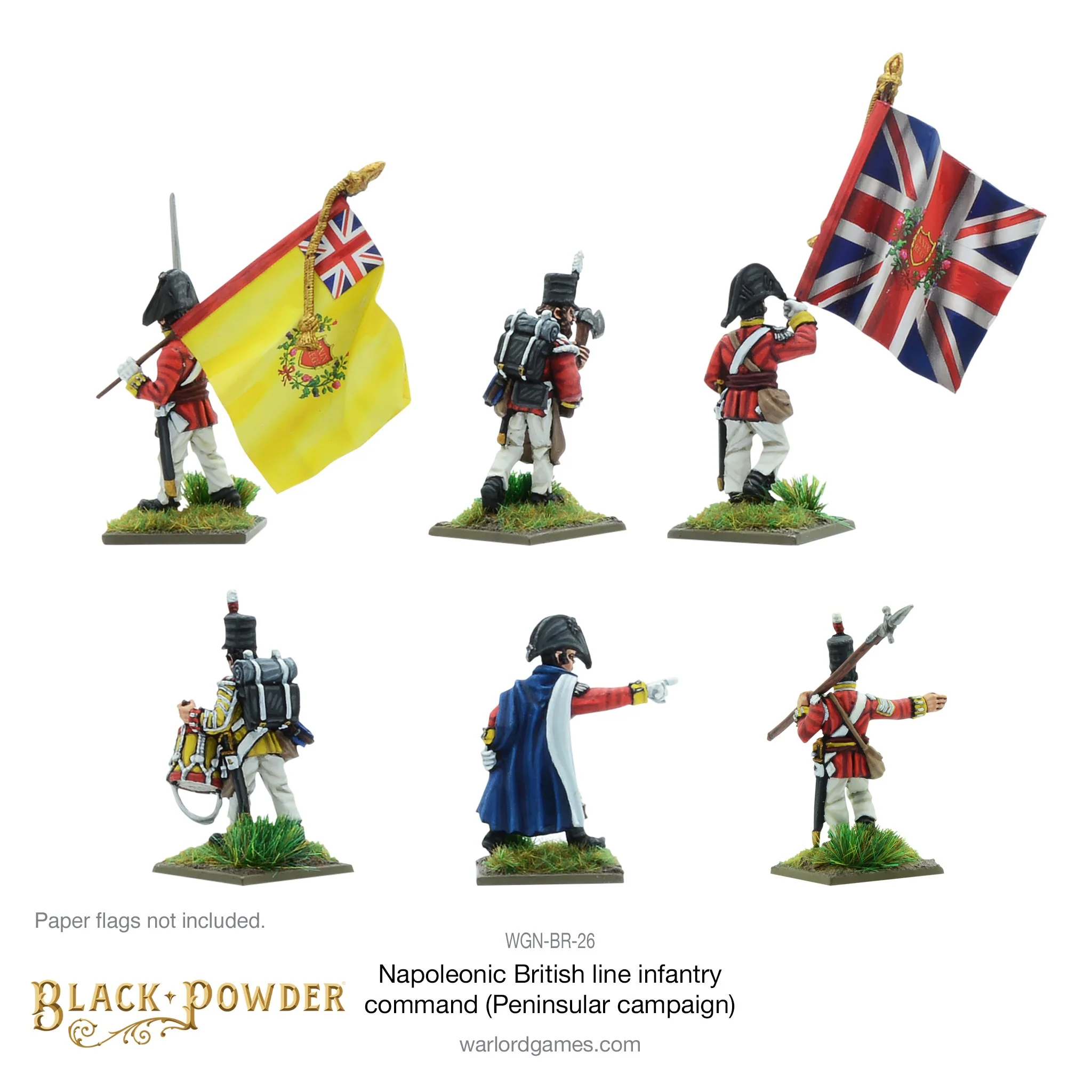 Napoleonic British Line Infantry command (Pensinsular War) - Image 2