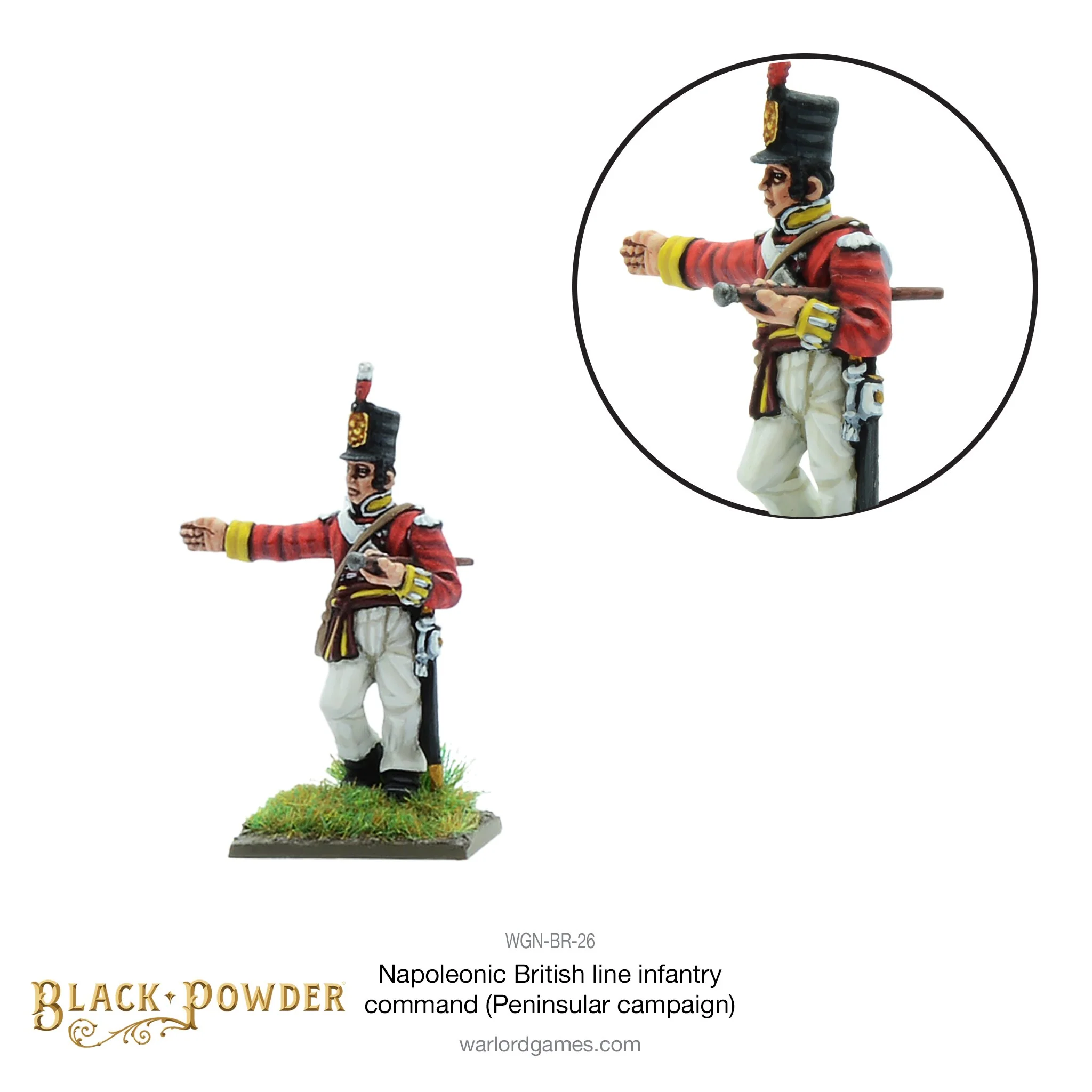 Napoleonic British Line Infantry command (Pensinsular War) - Image 3