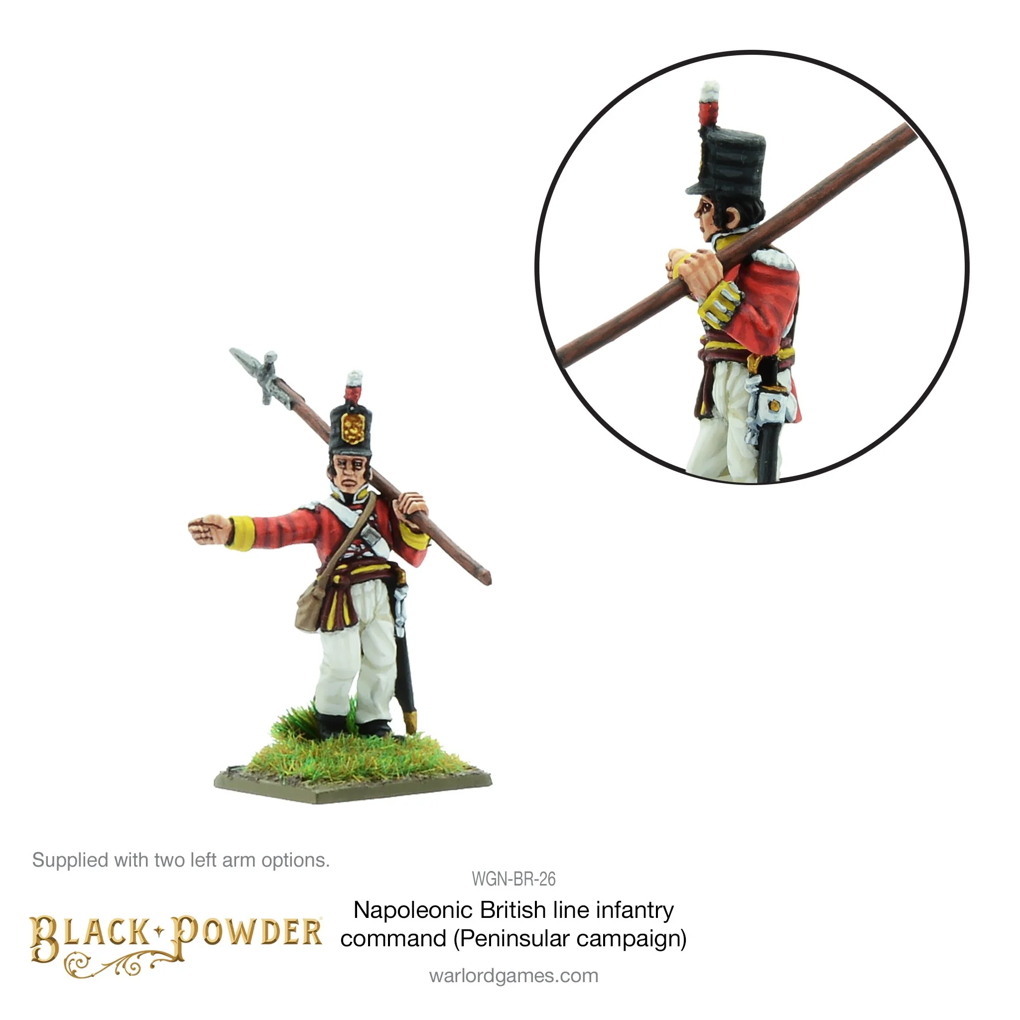 Napoleonic British Line Infantry command (Pensinsular War) - Image 4