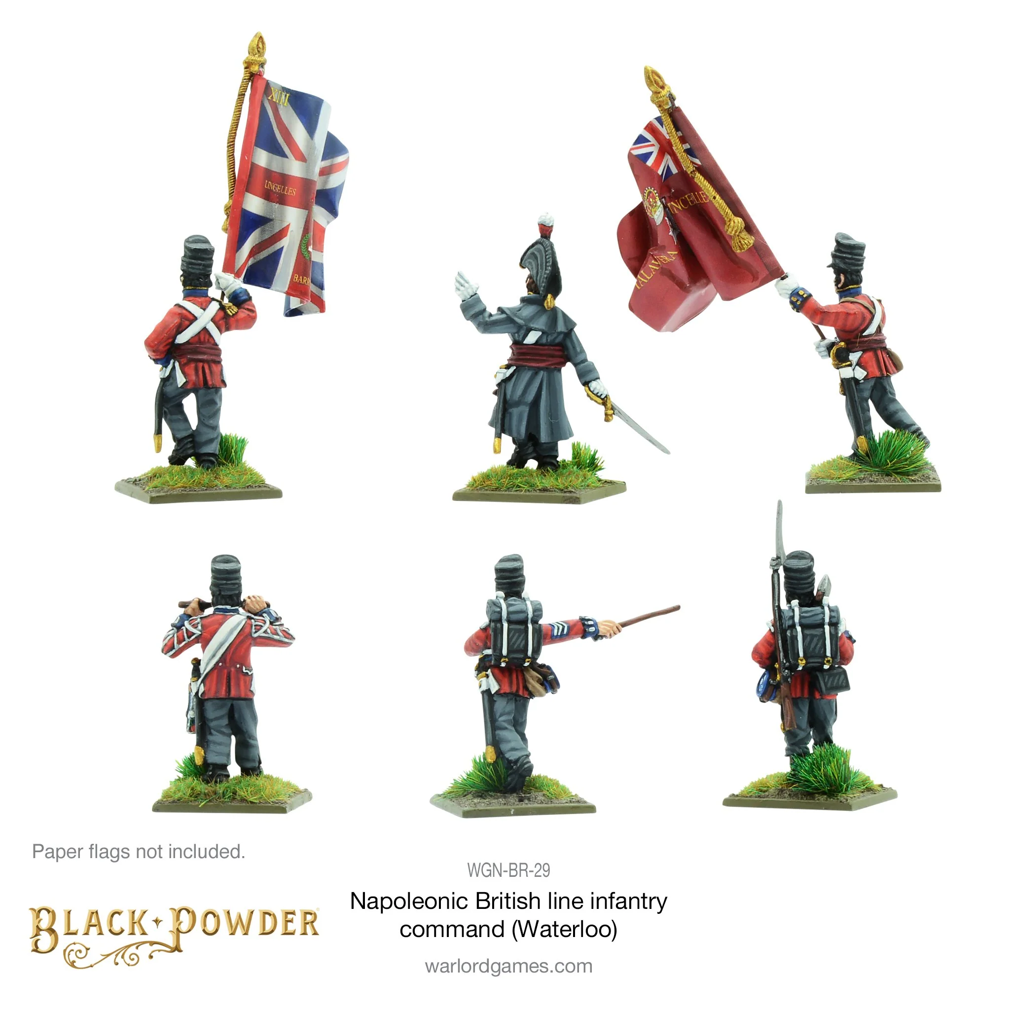 Napoleonic British Line Infantry command (Waterloo campaign) - Image 2