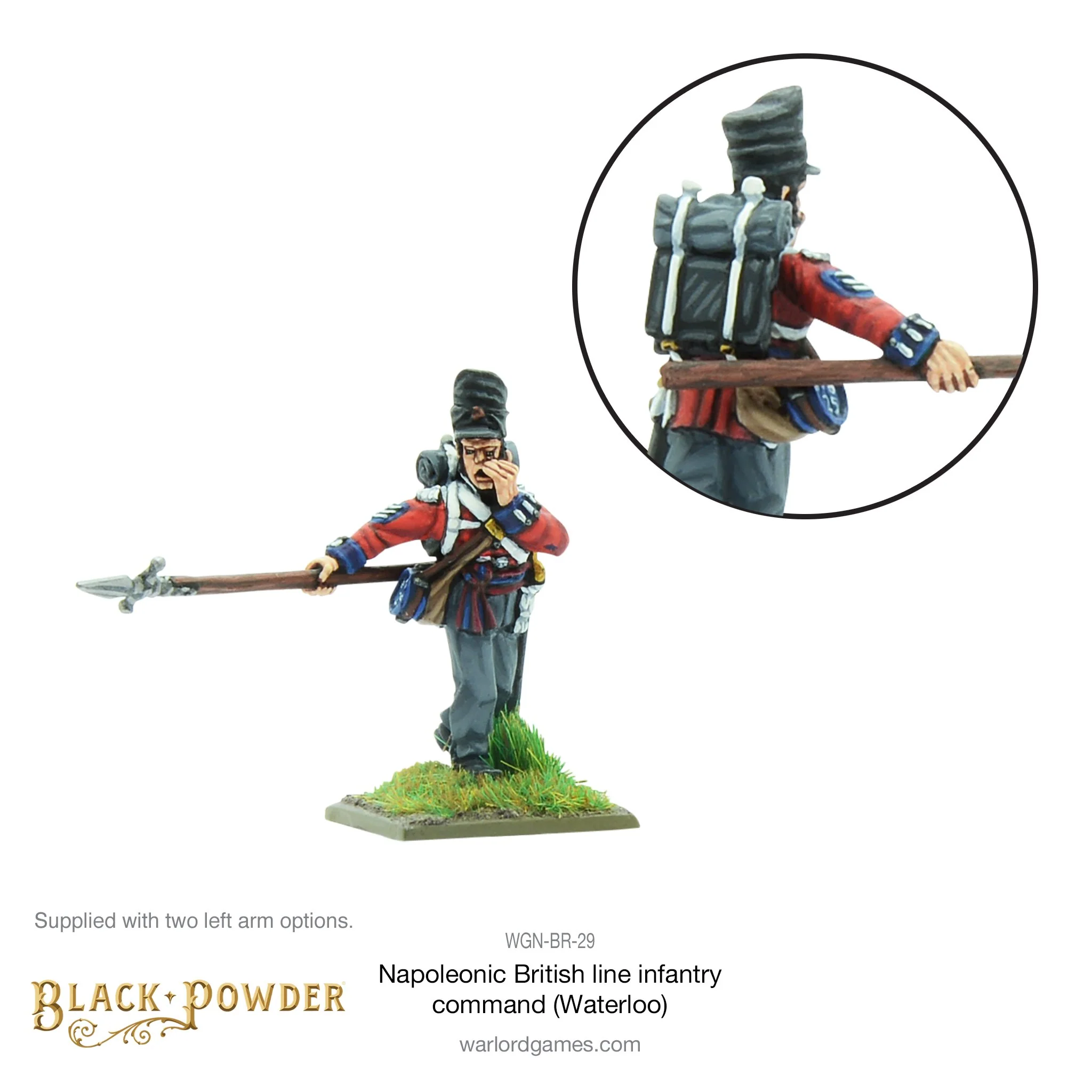 Napoleonic British Line Infantry command (Waterloo campaign) - Image 3