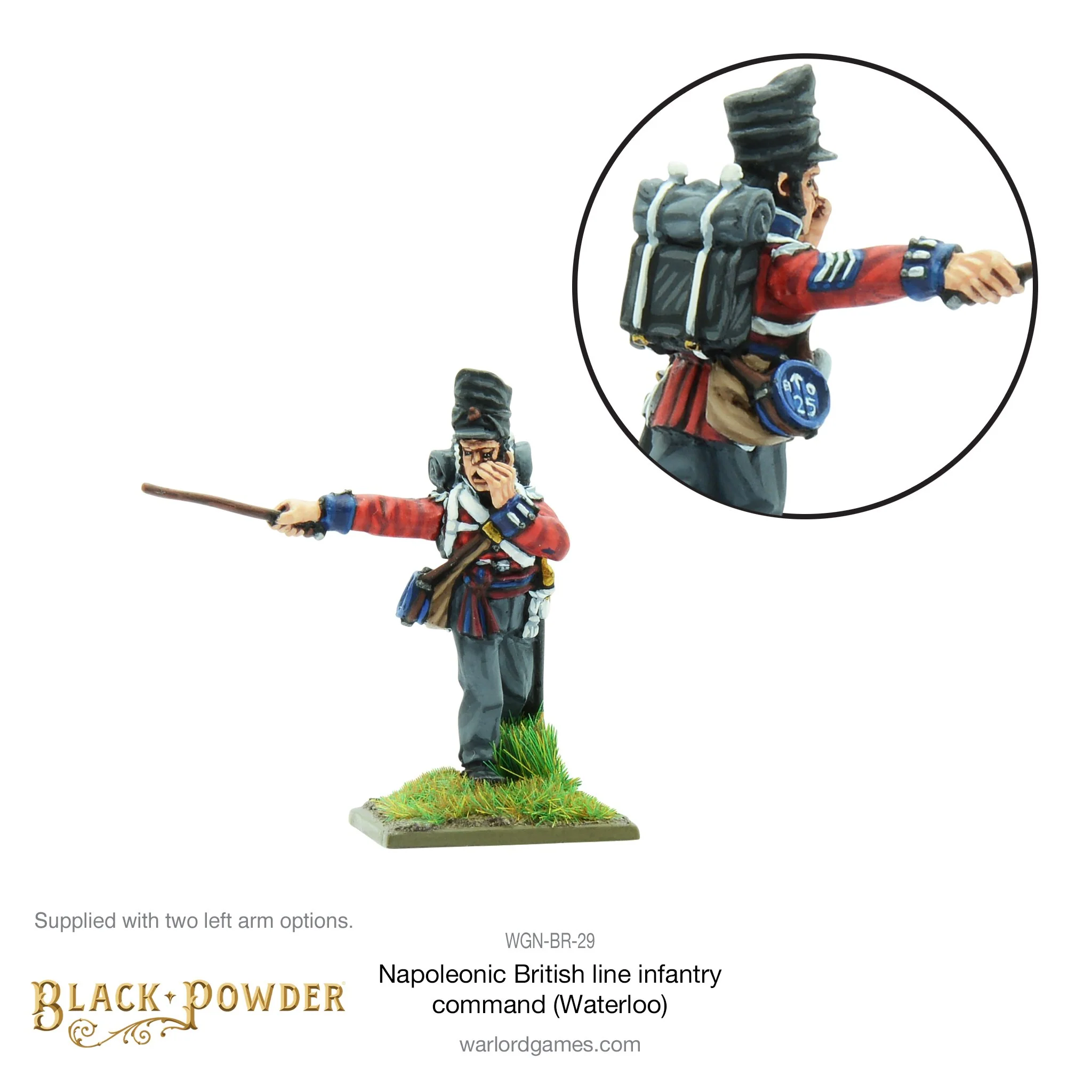Napoleonic British Line Infantry command (Waterloo campaign) - Image 4