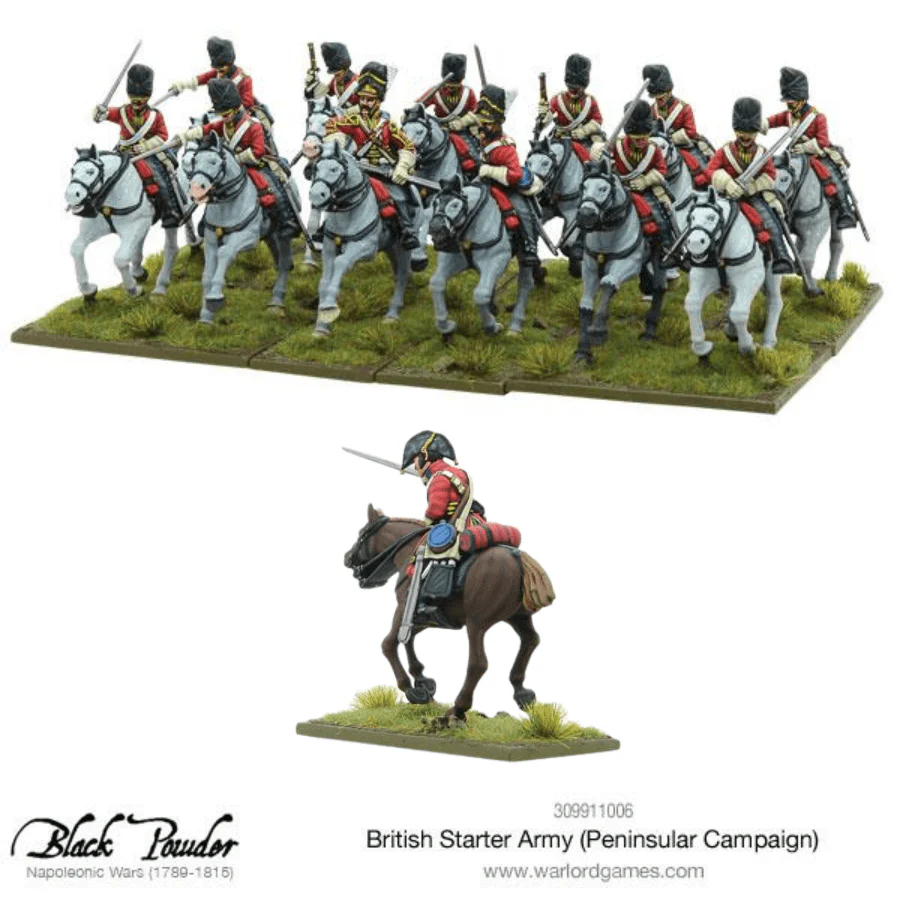 Napoleonic British starter army (Peninsular campaign) - Image 6