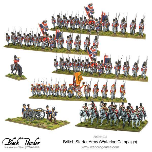 Napoleonic British starter army (Waterloo campaign) - Image 2