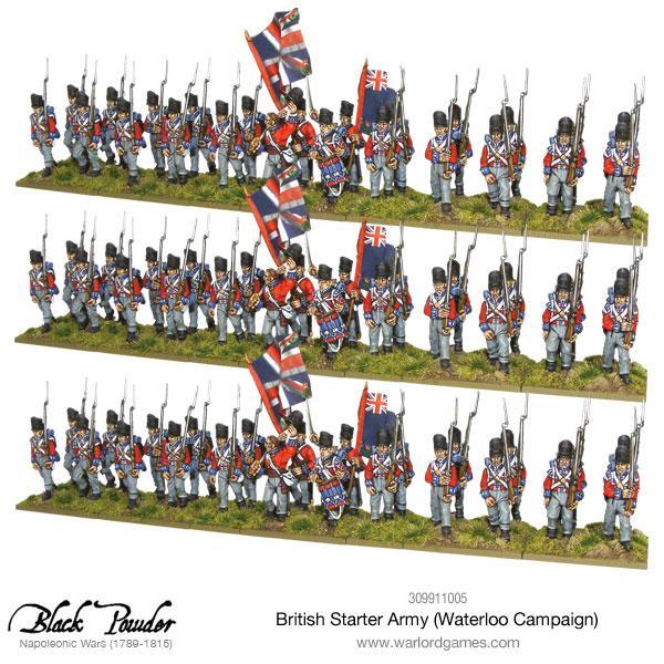 Napoleonic British starter army (Waterloo campaign) - Image 3