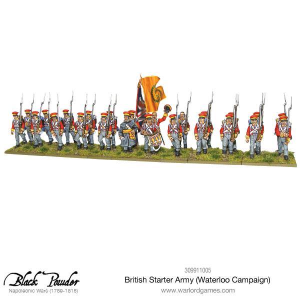 Napoleonic British starter army (Waterloo campaign) - Image 4