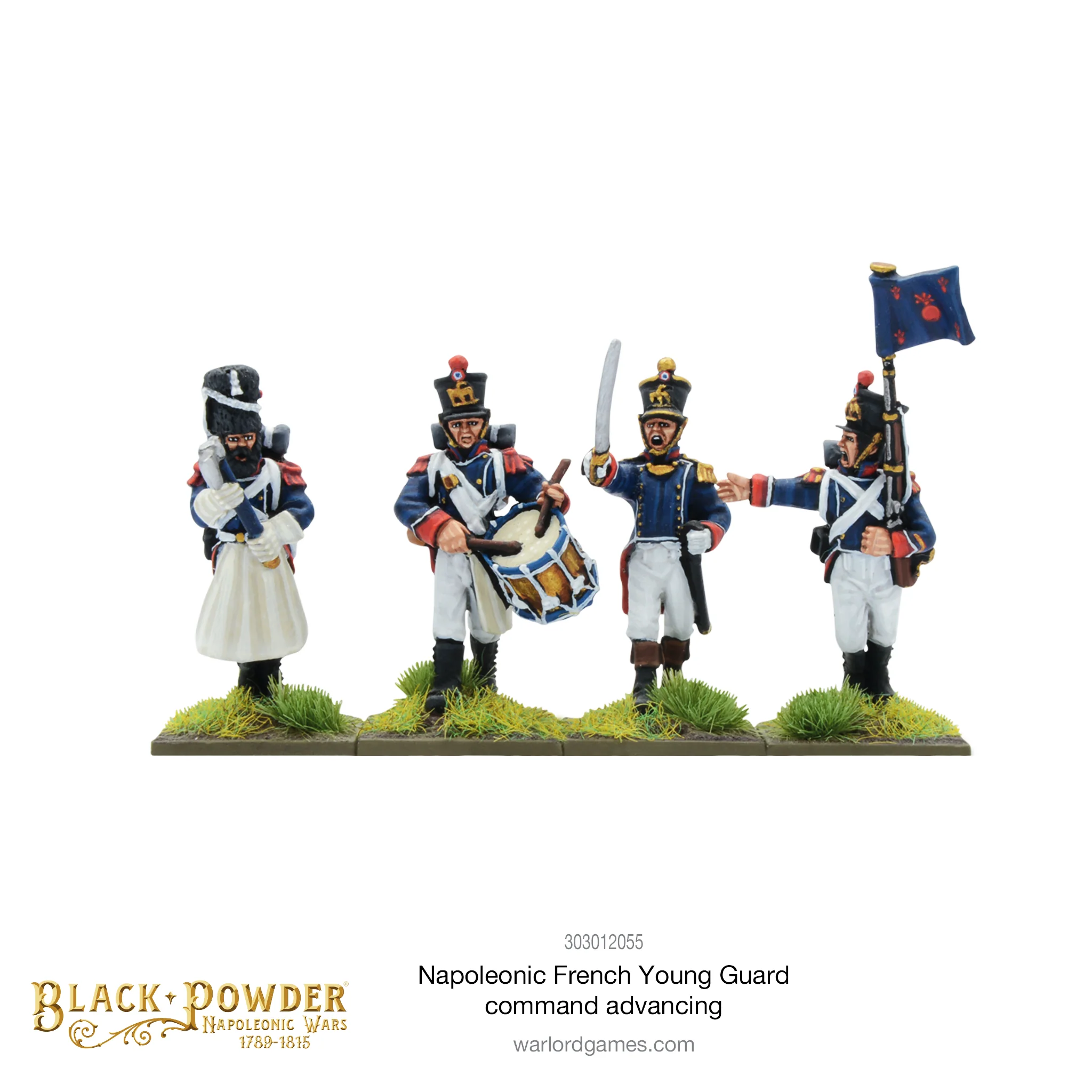 Napoleonic French Young Guard Command advancing - Image 3
