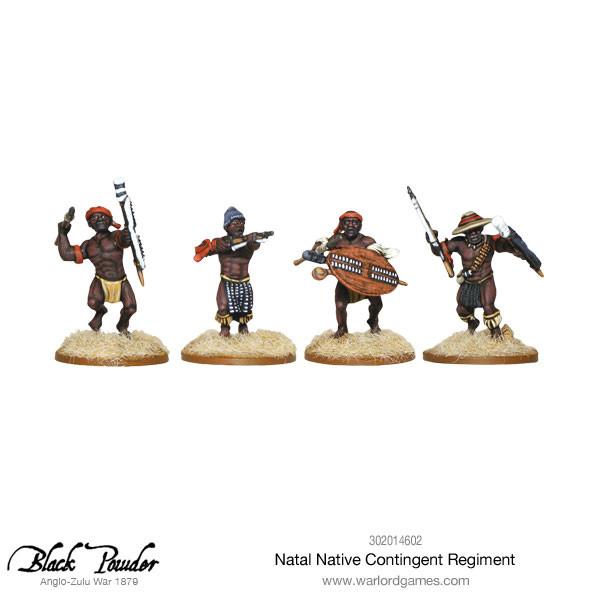 Natal Native Contingent Regiment - Image 3