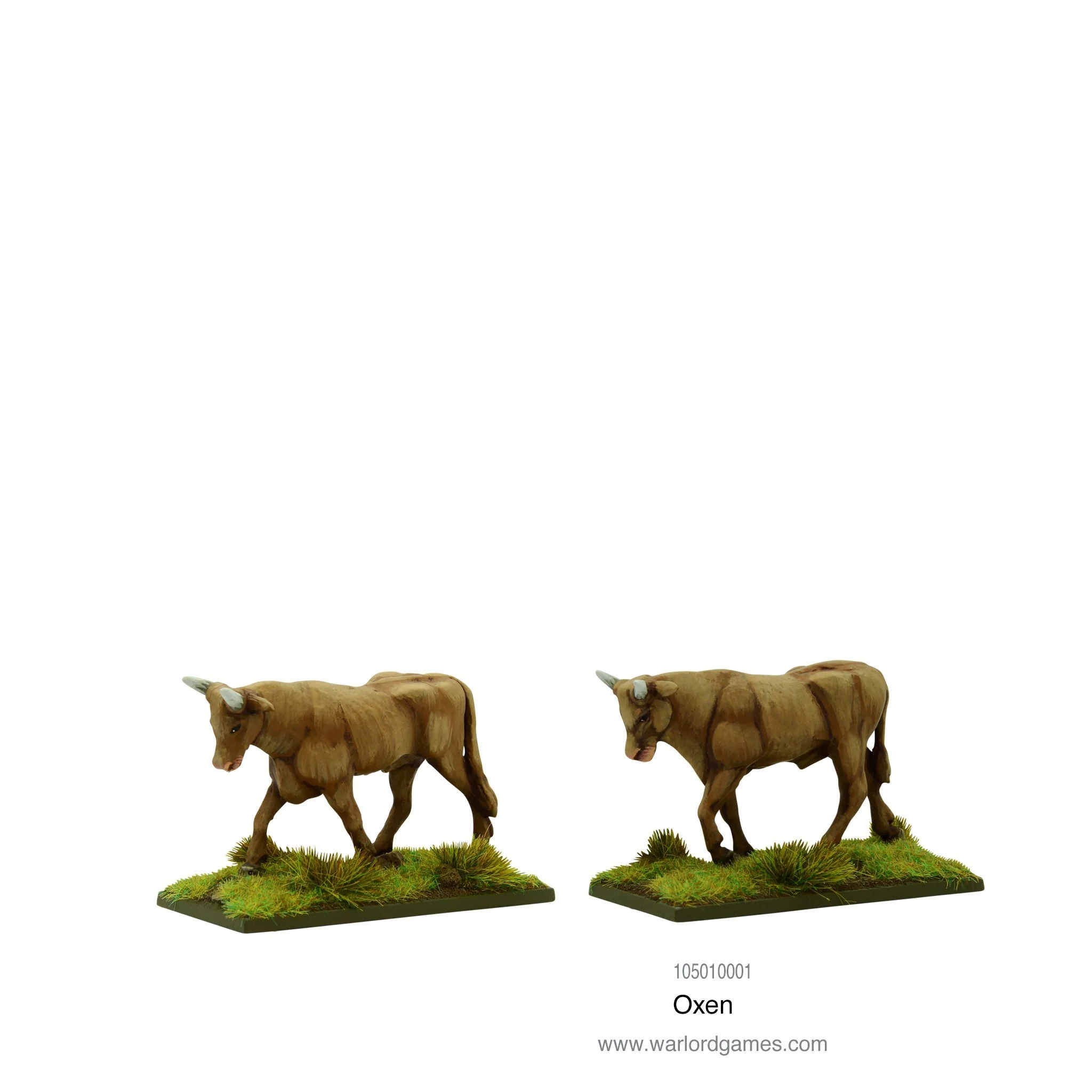 Oxen - Image 2
