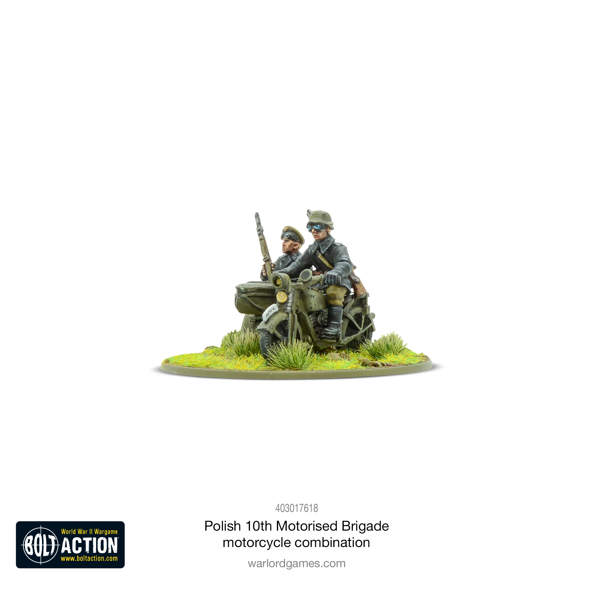 Polish 10th Motorized Brigade motorcycle combination - Image 2