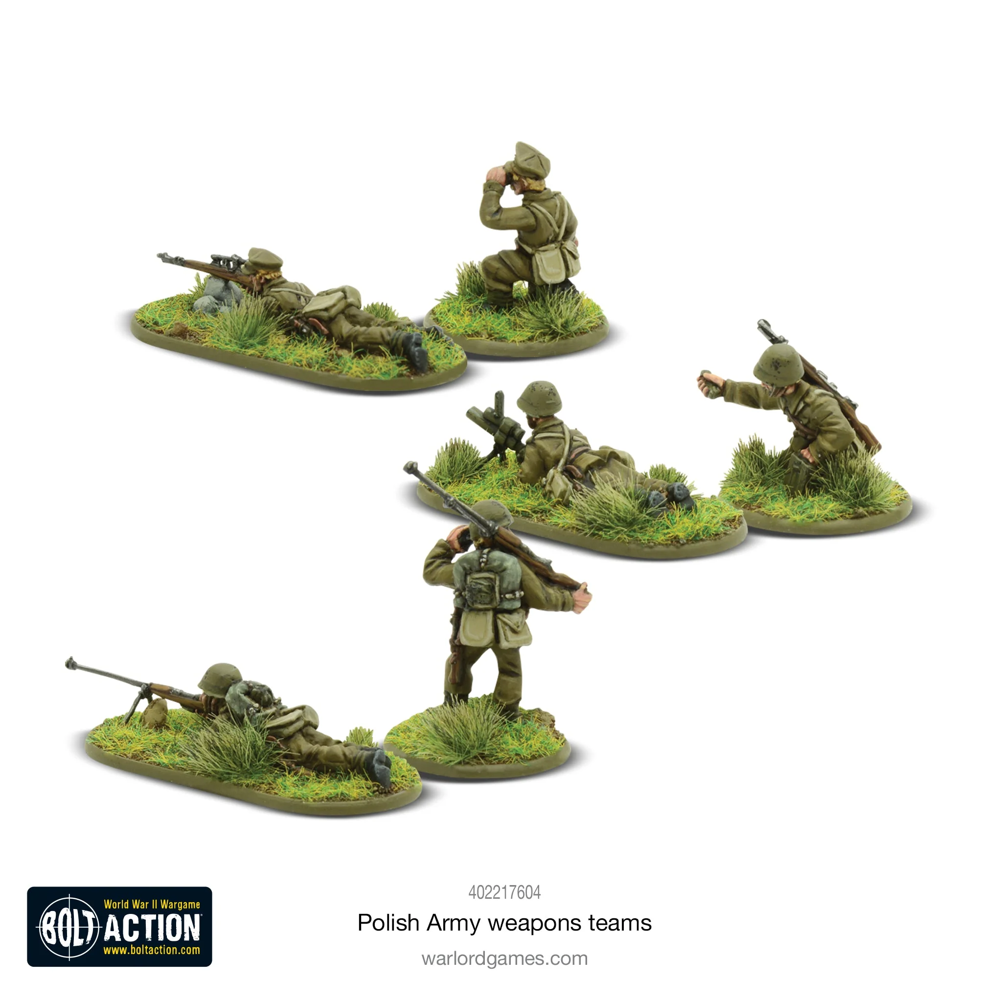 Polish Army weapons teams - Image 2